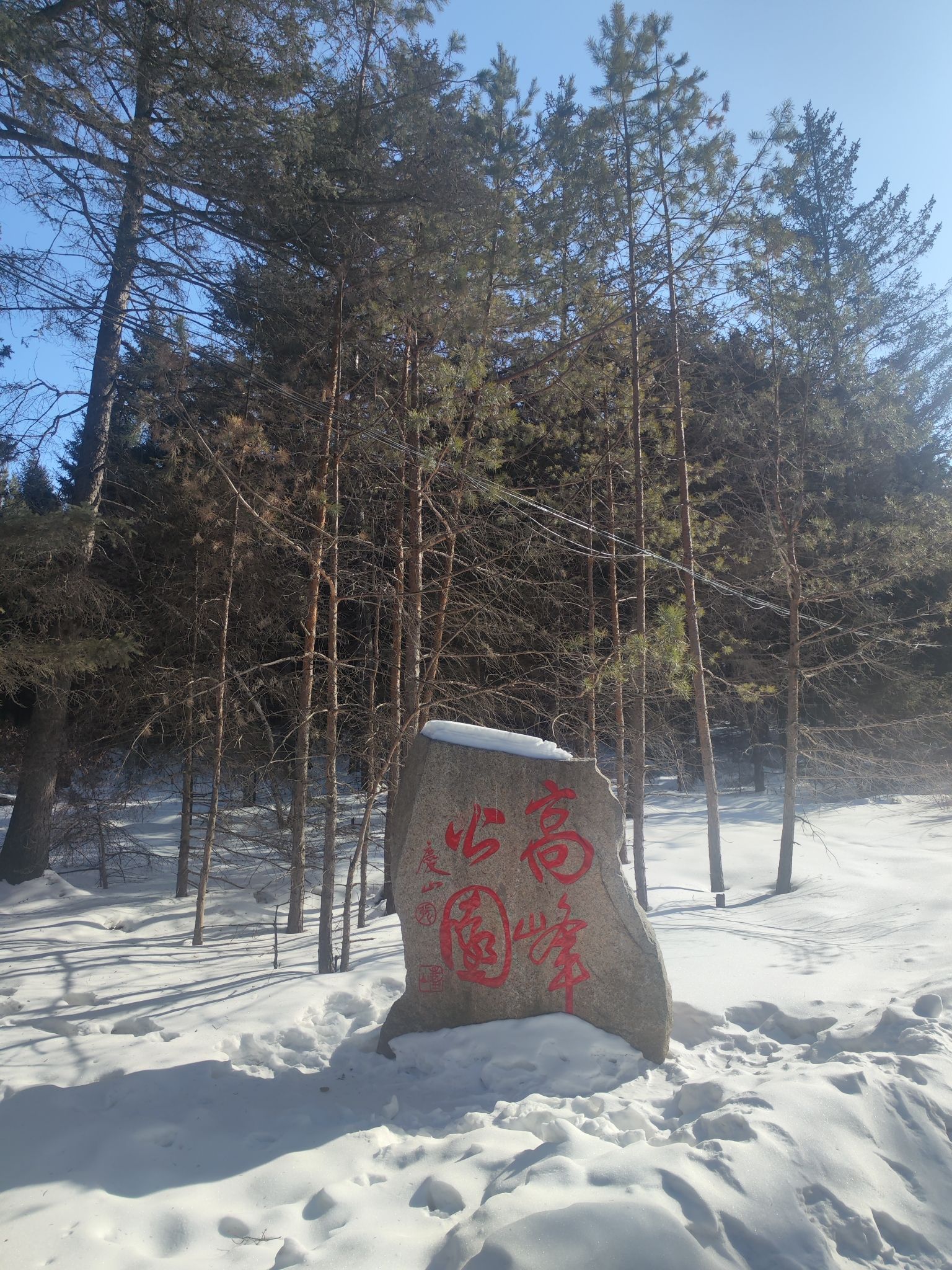 嫩江高峰森林公园旅行图片 3
