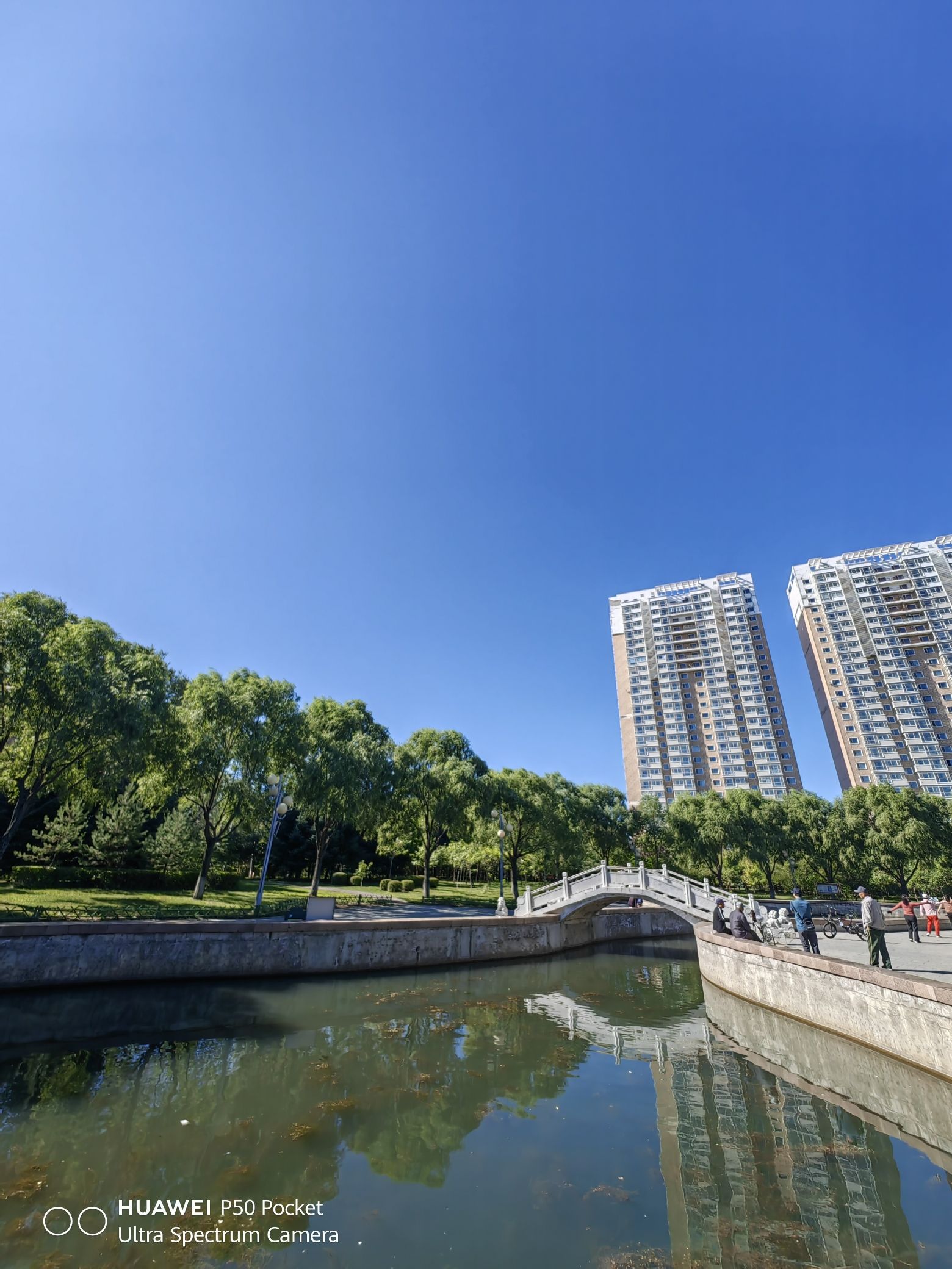 龙滨公园旅行图片 2