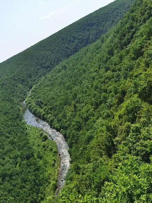 锦河大峡谷(暂停开放)旅行图片 1