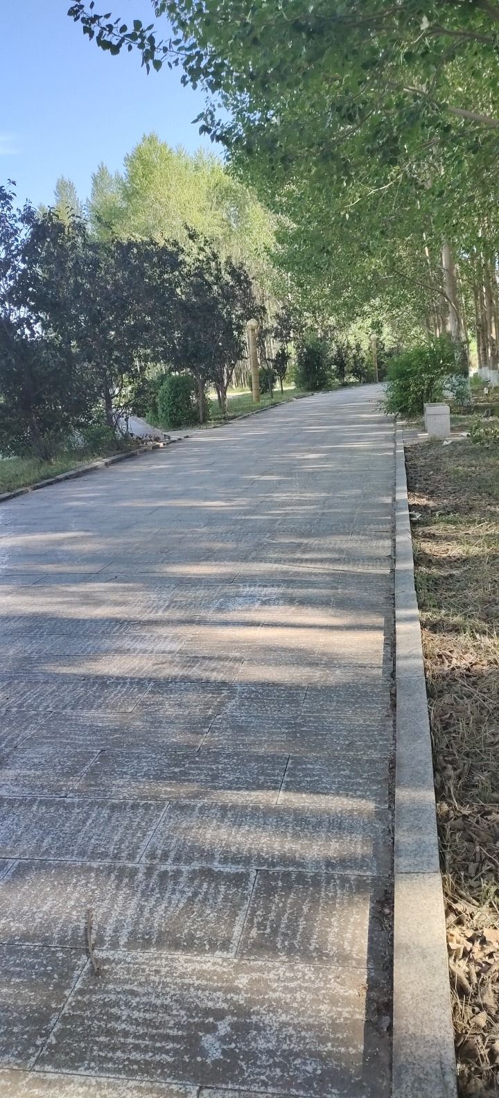 赵光农场水上公园旅行图片 3