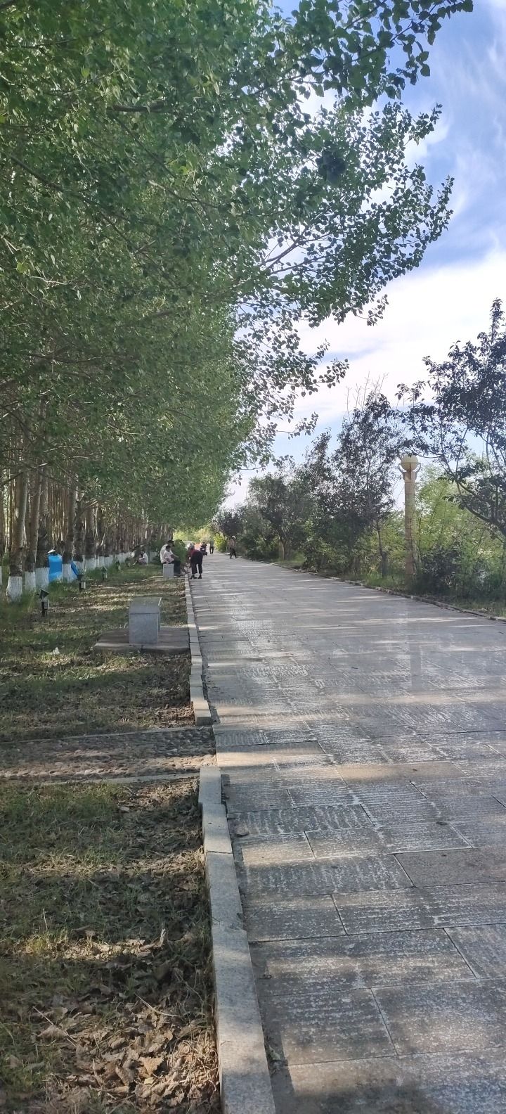 赵光农场水上公园旅行图片 1