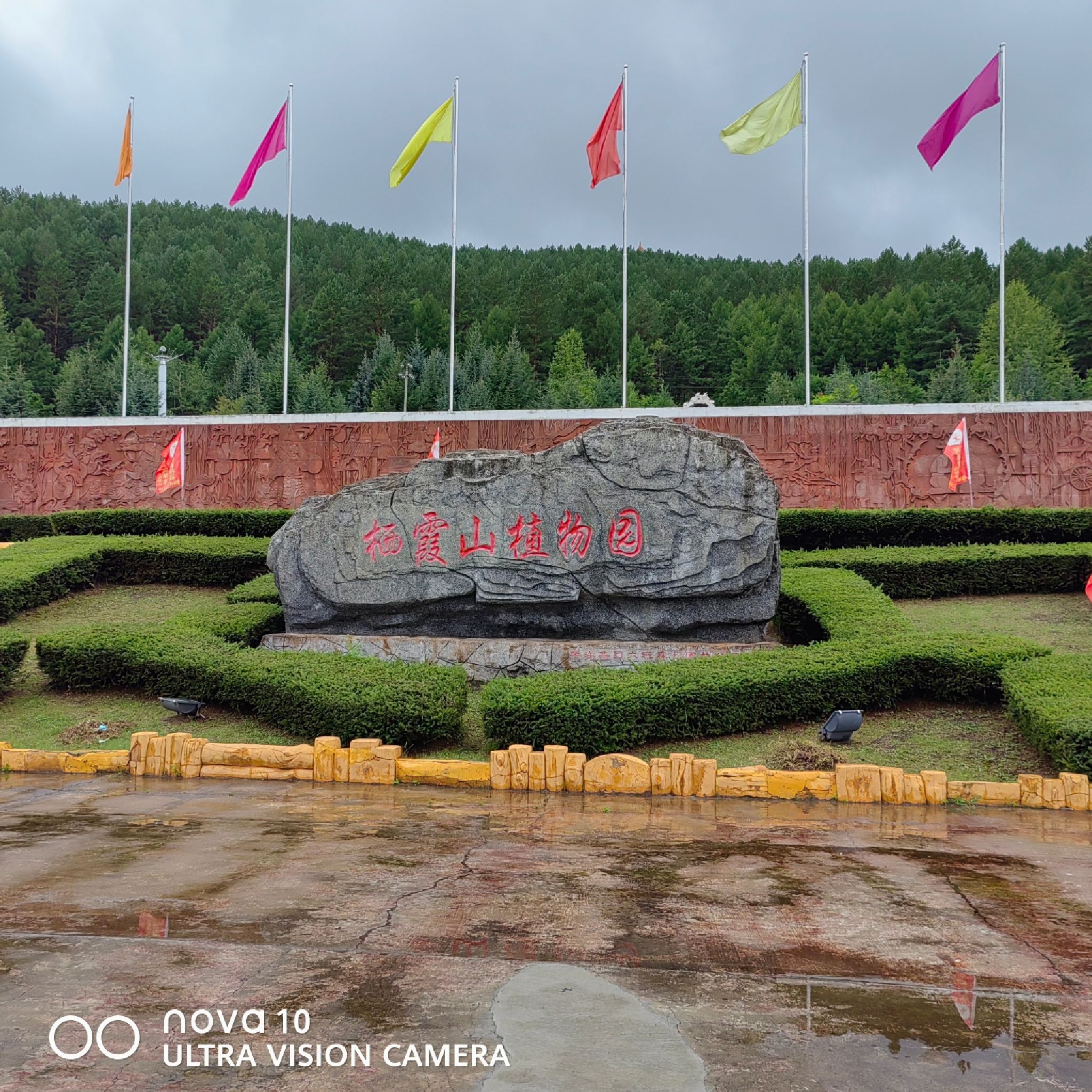 栖霞山植物园旅行图片 1