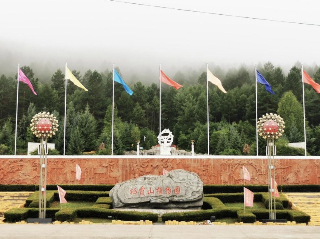 栖霞山植物园旅行图片 2