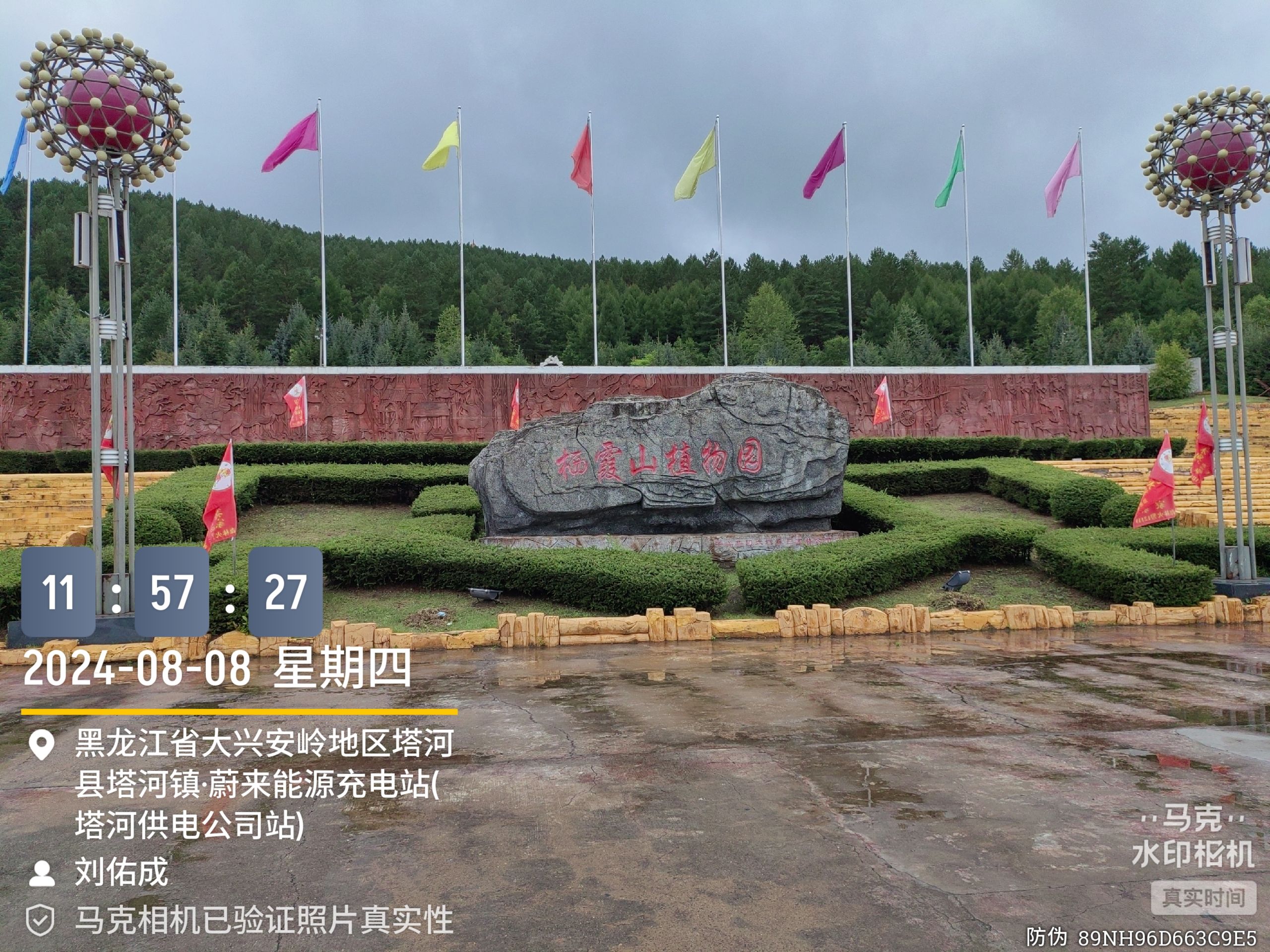 栖霞山植物园旅行图片 2