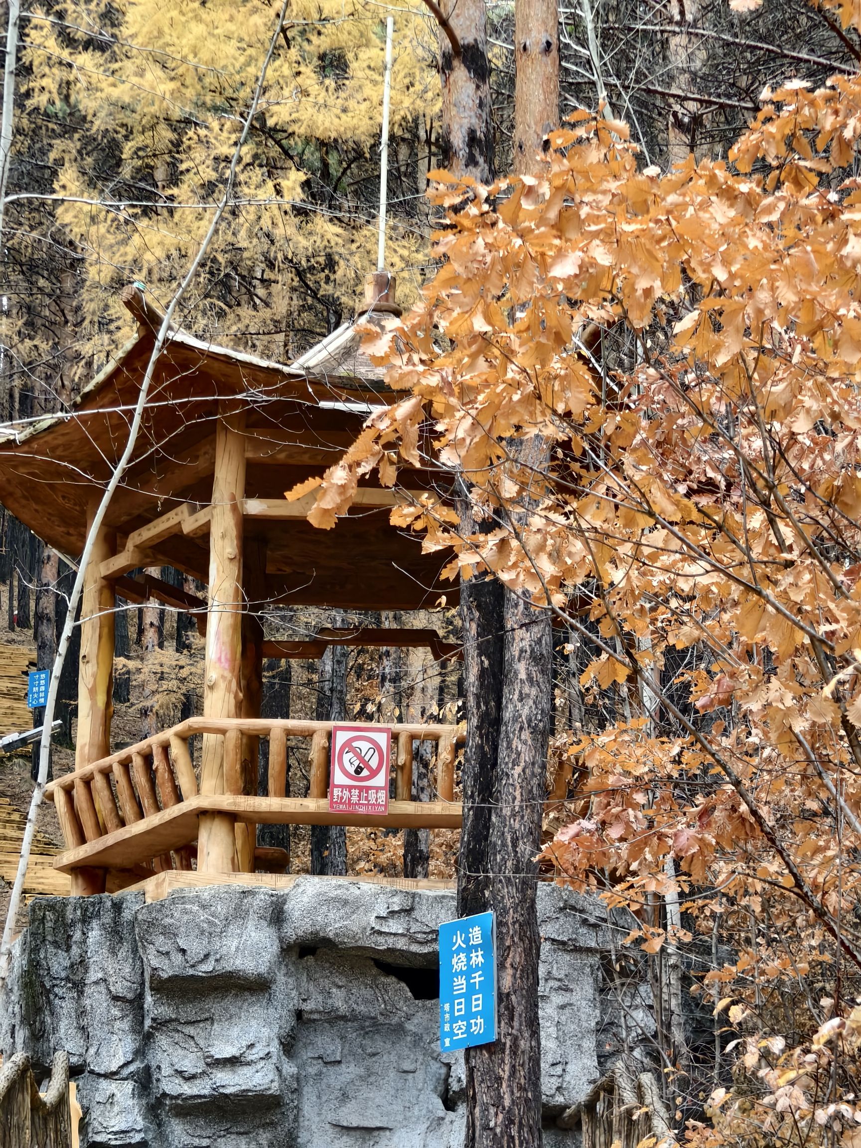 栖霞山植物园旅行图片 2