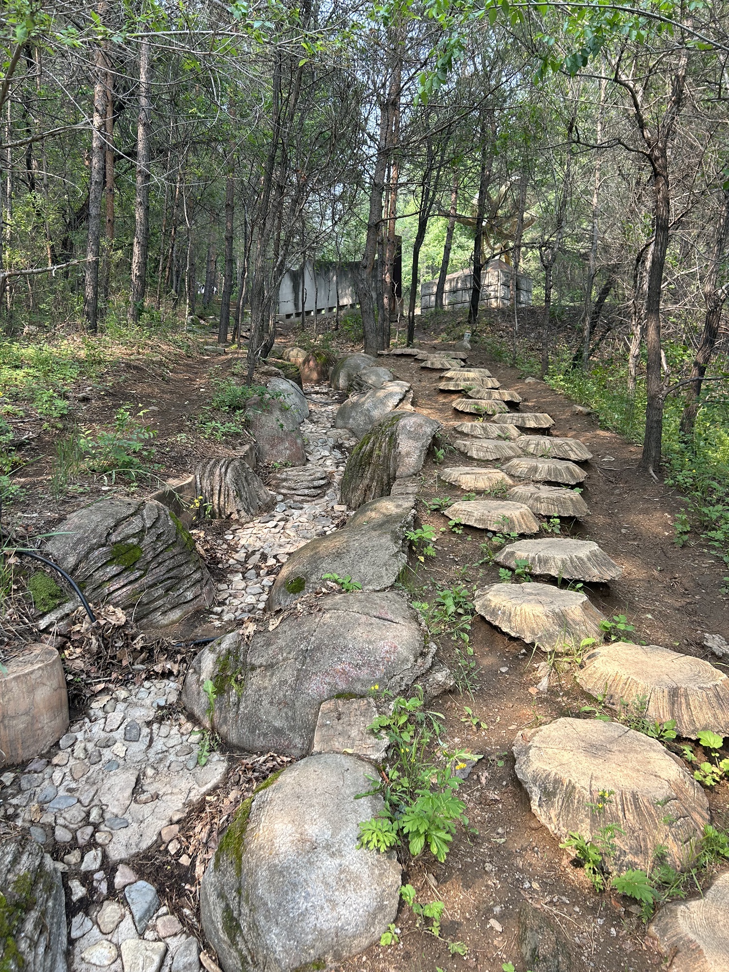 北山森林公园旅行图片 2