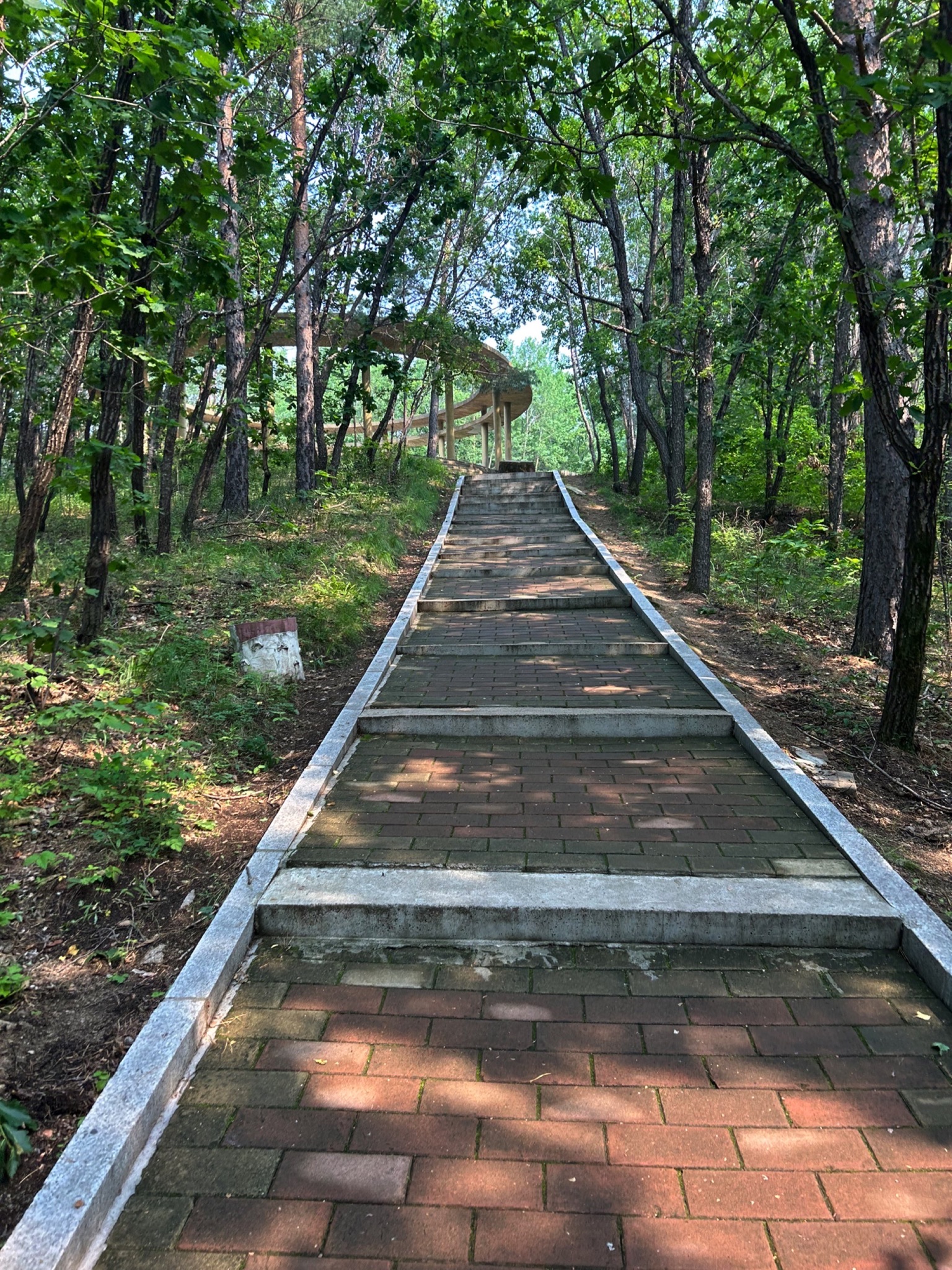 北山森林公园旅行图片 1