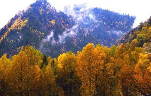 北山森林公园旅行图片 2