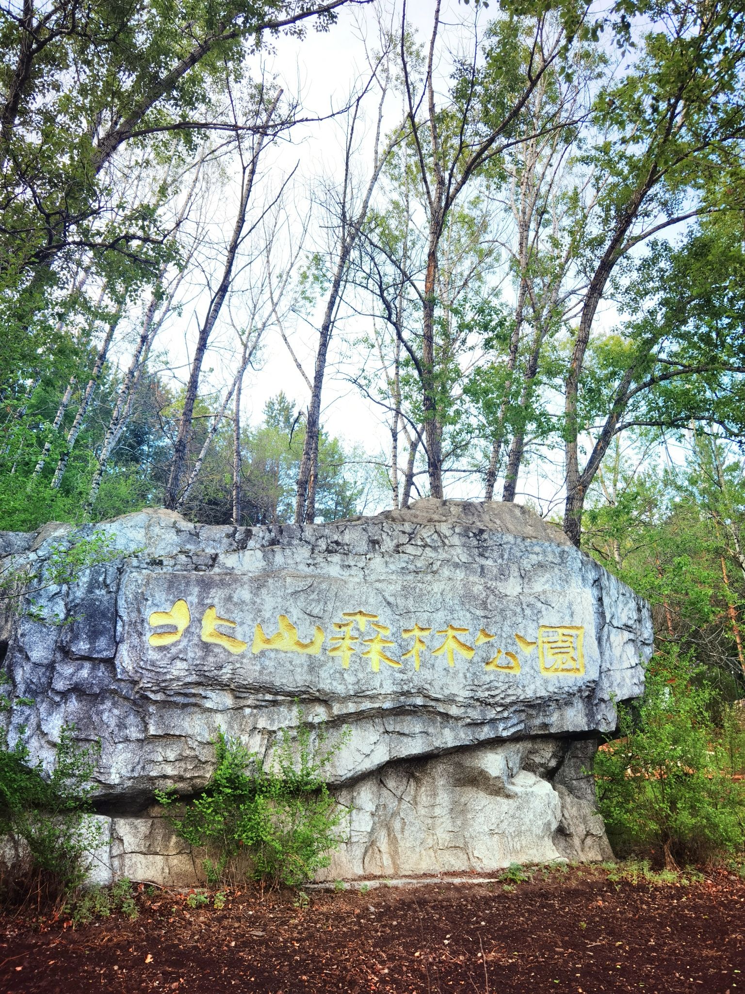 北山森林公园旅行图片 1