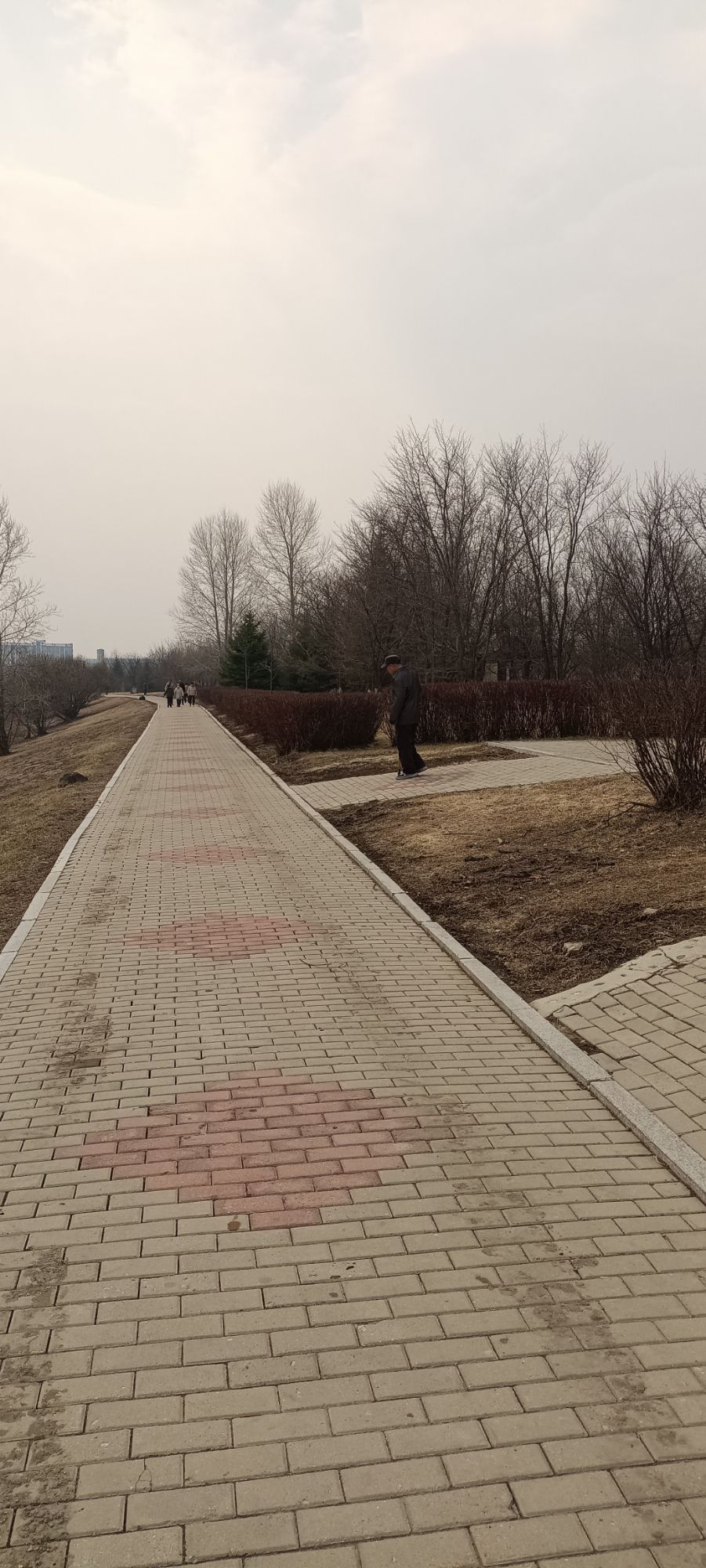人民广场旅行图片 2