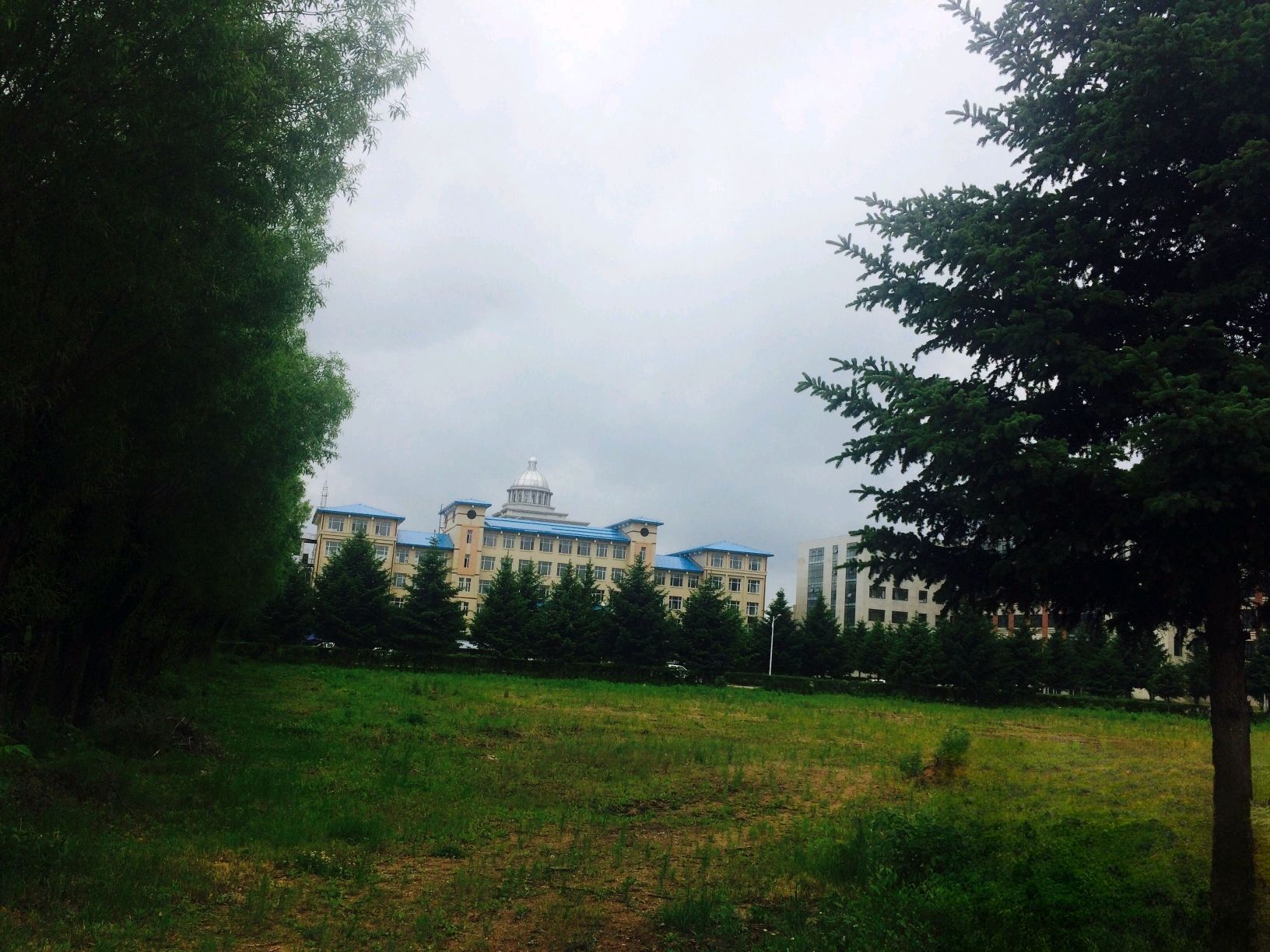 伊春职业学院