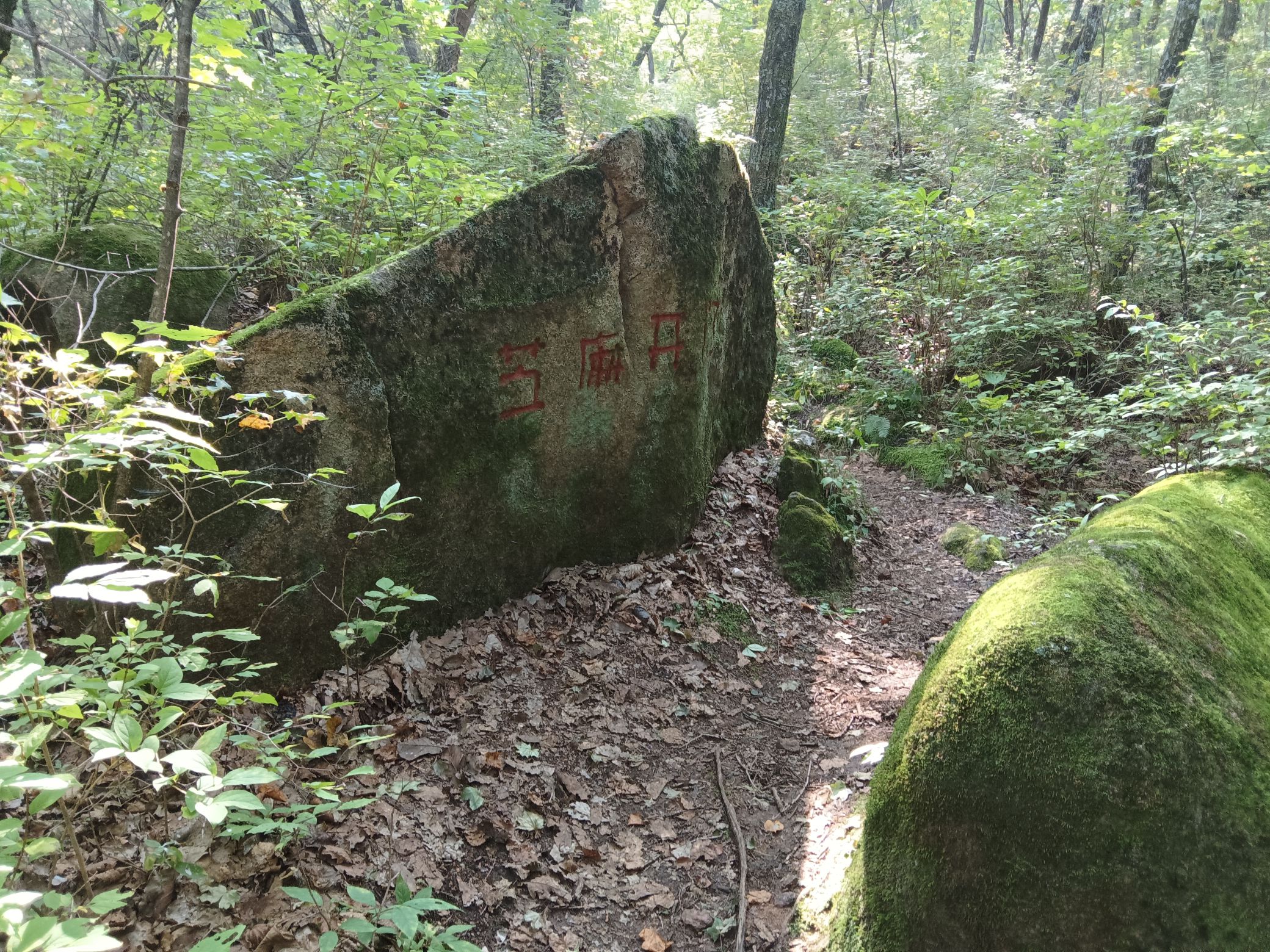鹰山旅行图片 1