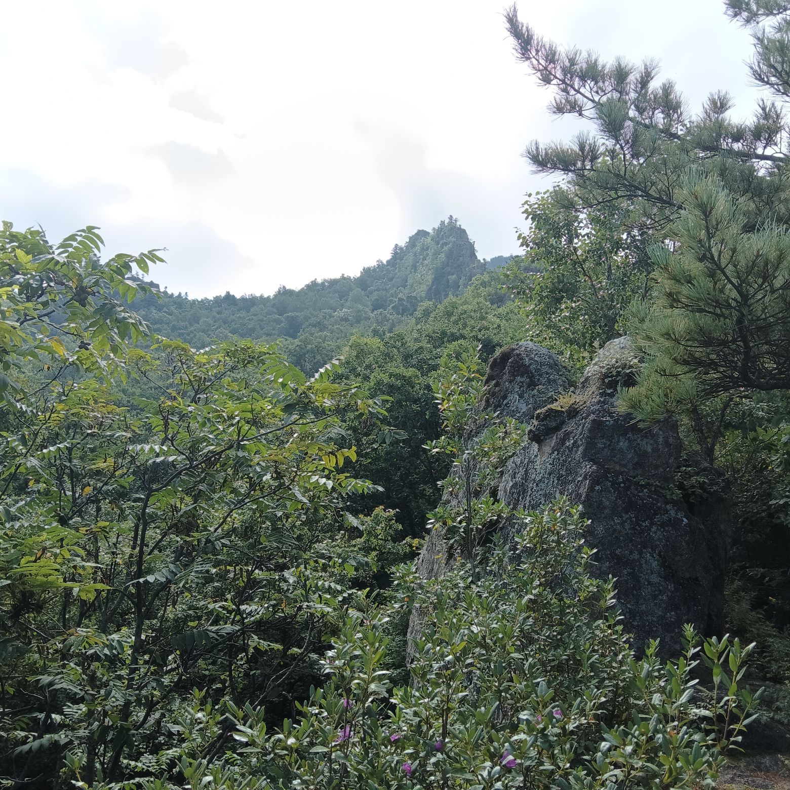 鹰山旅行图片 3