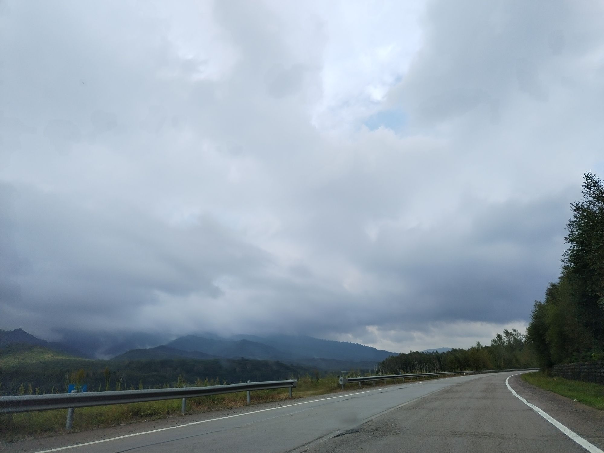 八仙湖森林公园旅行图片 3