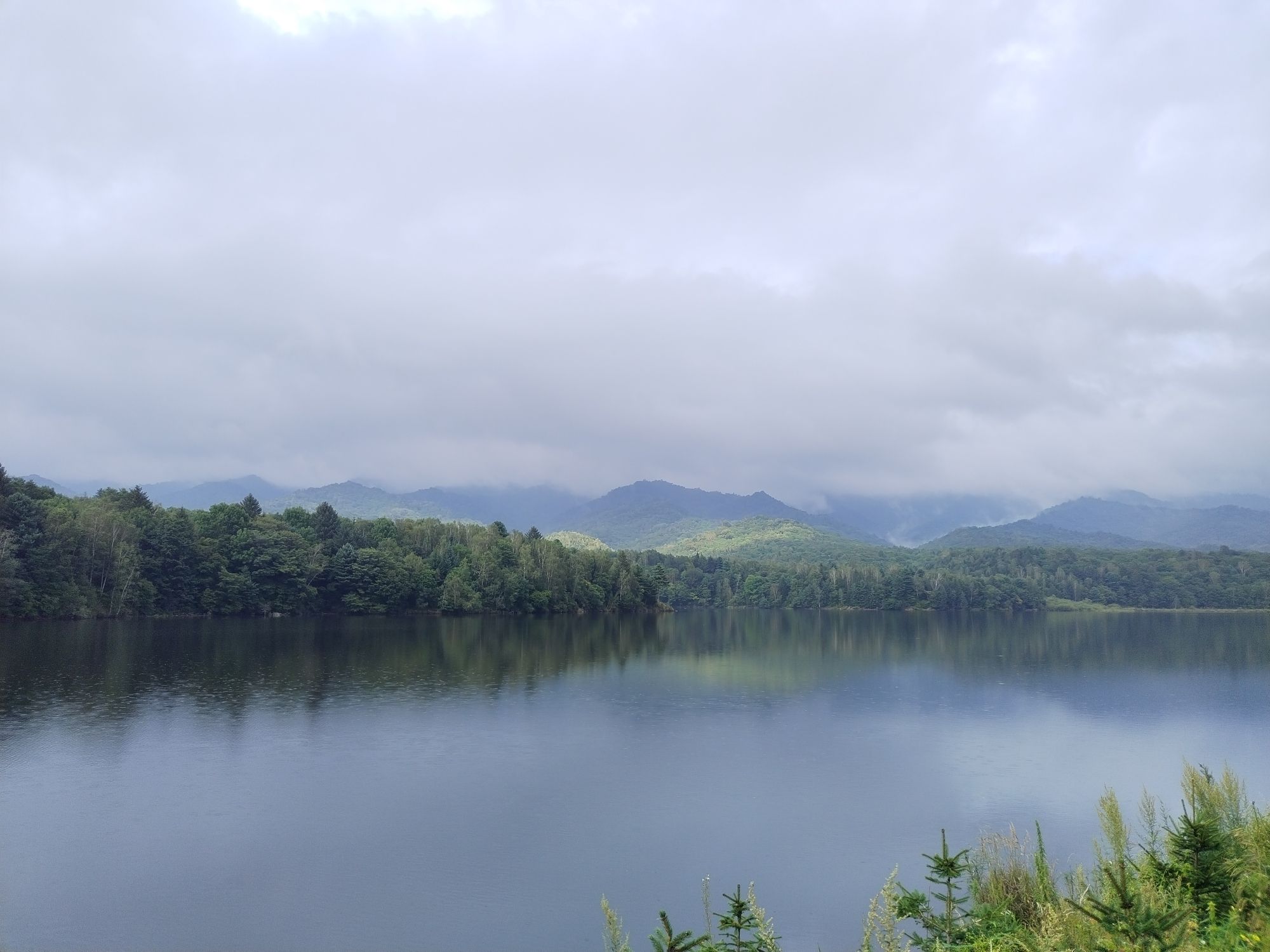 八仙湖森林公园旅行图片 1