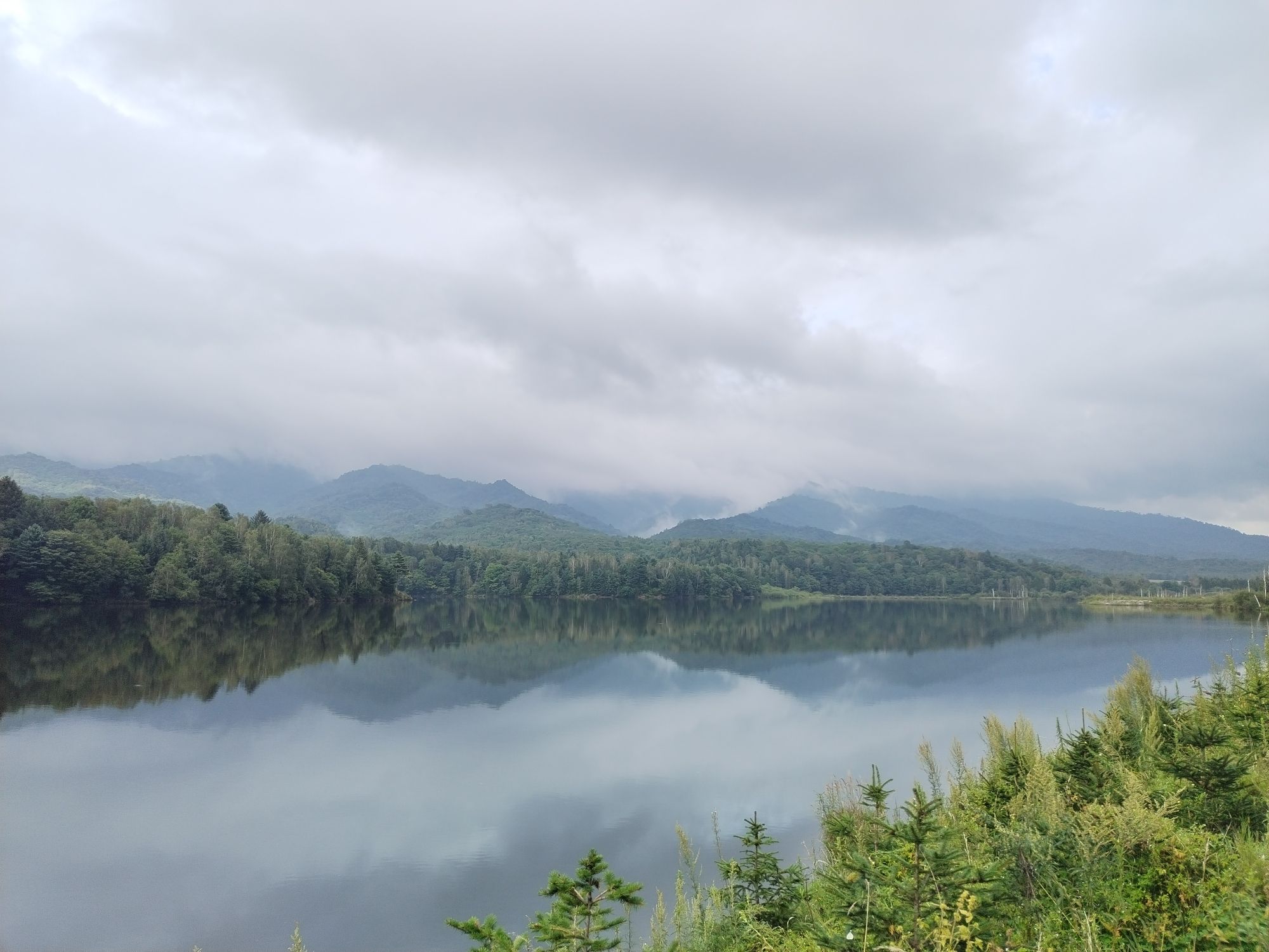 八仙湖森林公园旅行图片 2