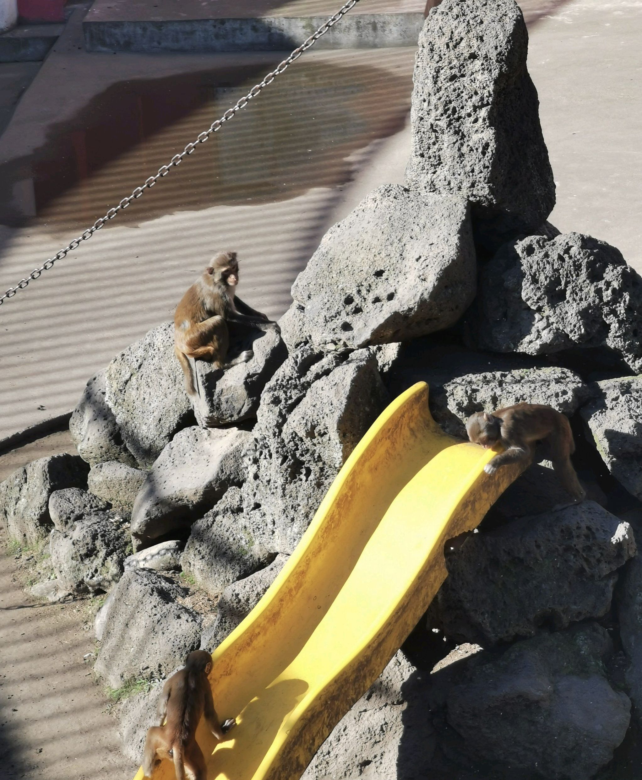 北山公园旅行图片 1