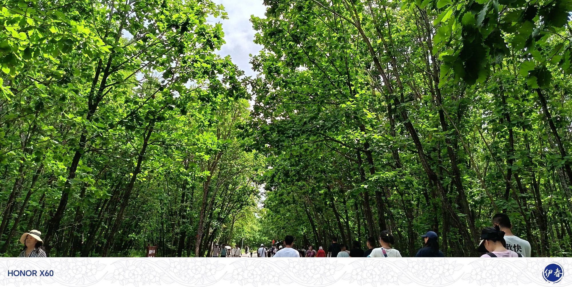 茅兰沟国家森林公园(暂停开放)旅行图片 3