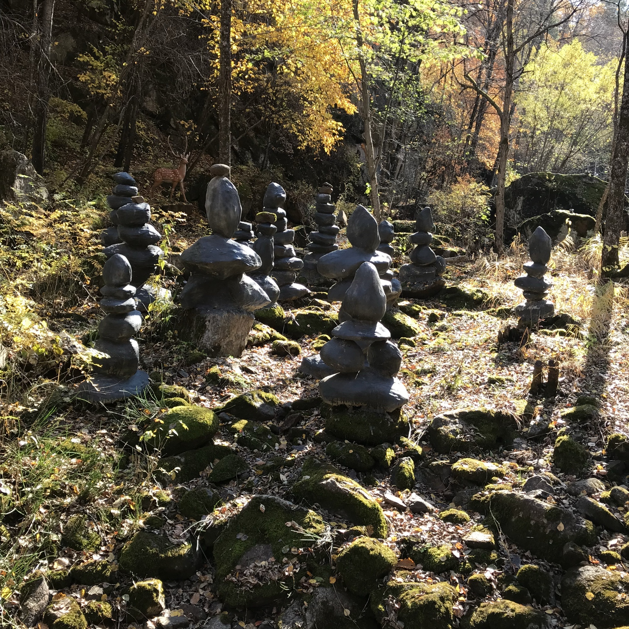 茅兰沟国家森林公园(暂停开放)旅行图片 2