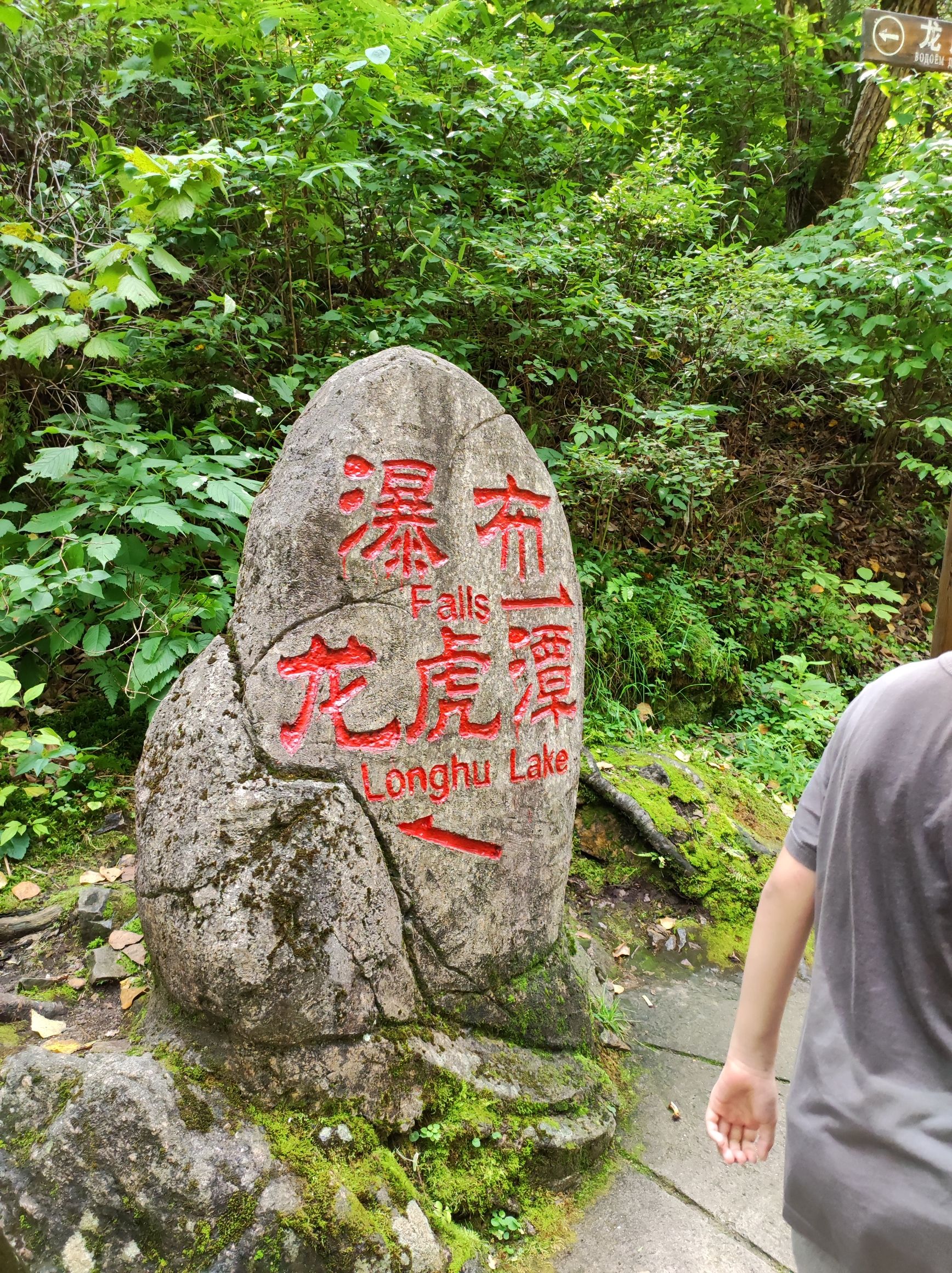 茅兰沟国家森林公园(暂停开放)旅行图片 1