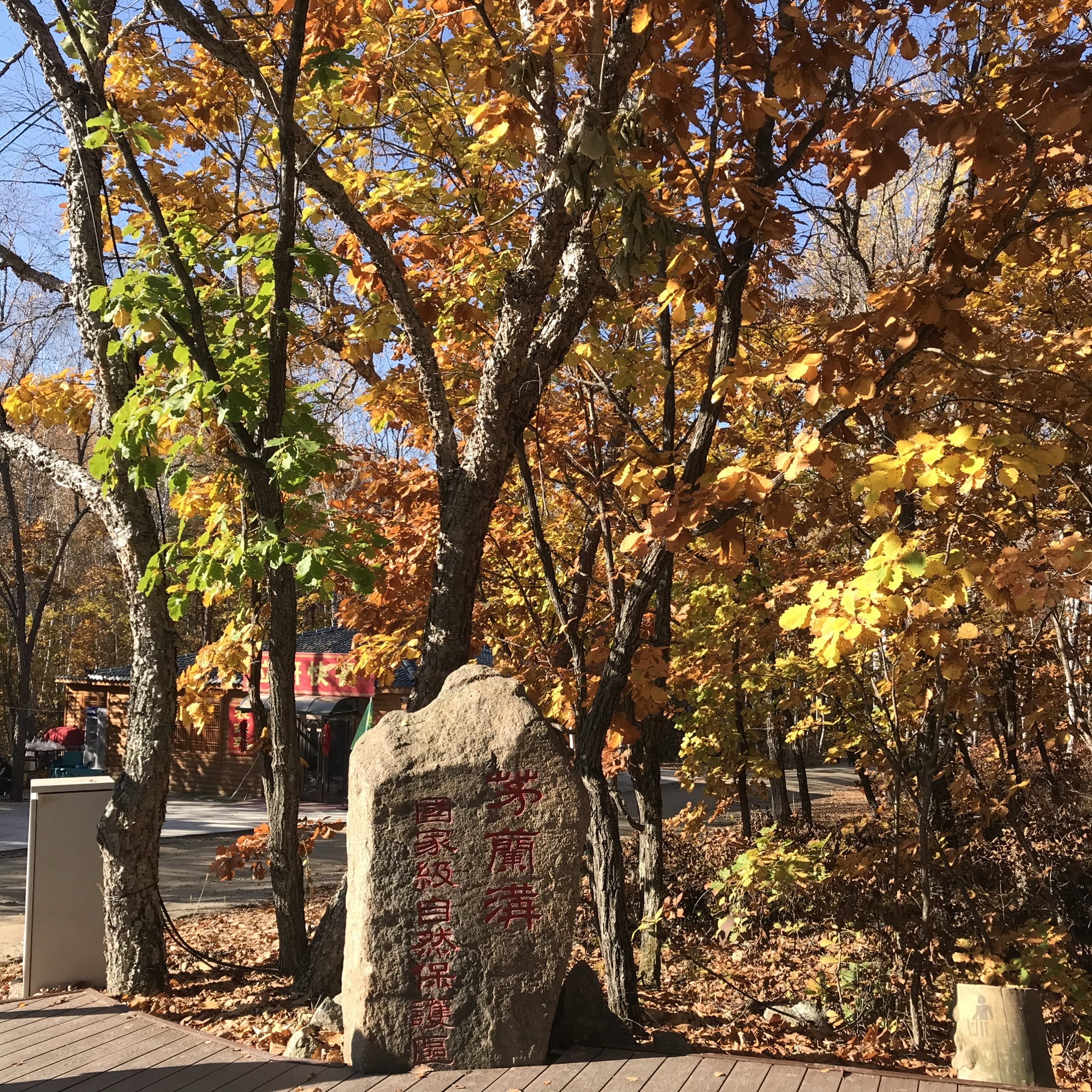 茅兰沟国家森林公园(暂停开放)旅行图片 1