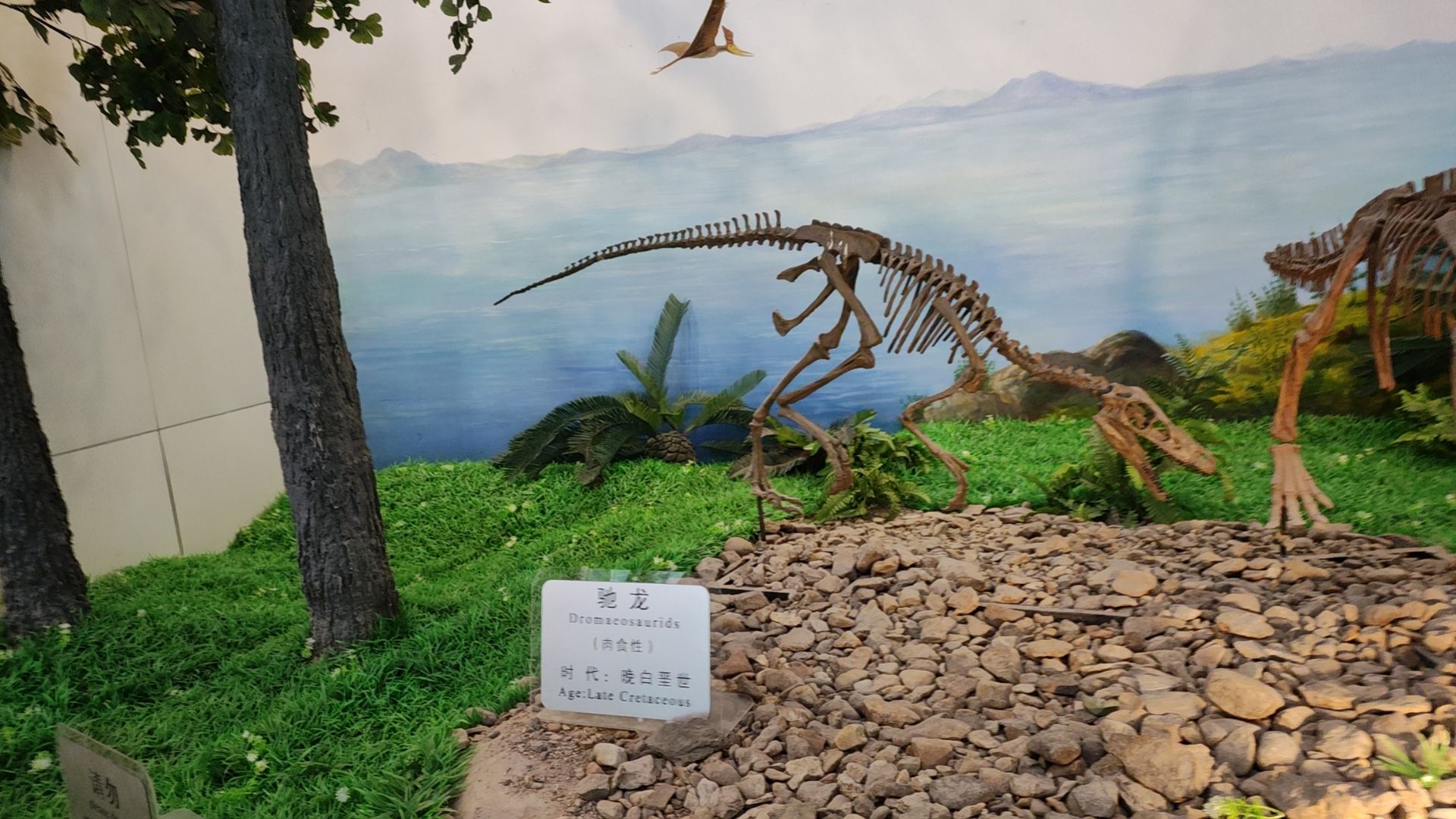 黑龙江嘉荫恐龙国家地质公园旅行图片 3