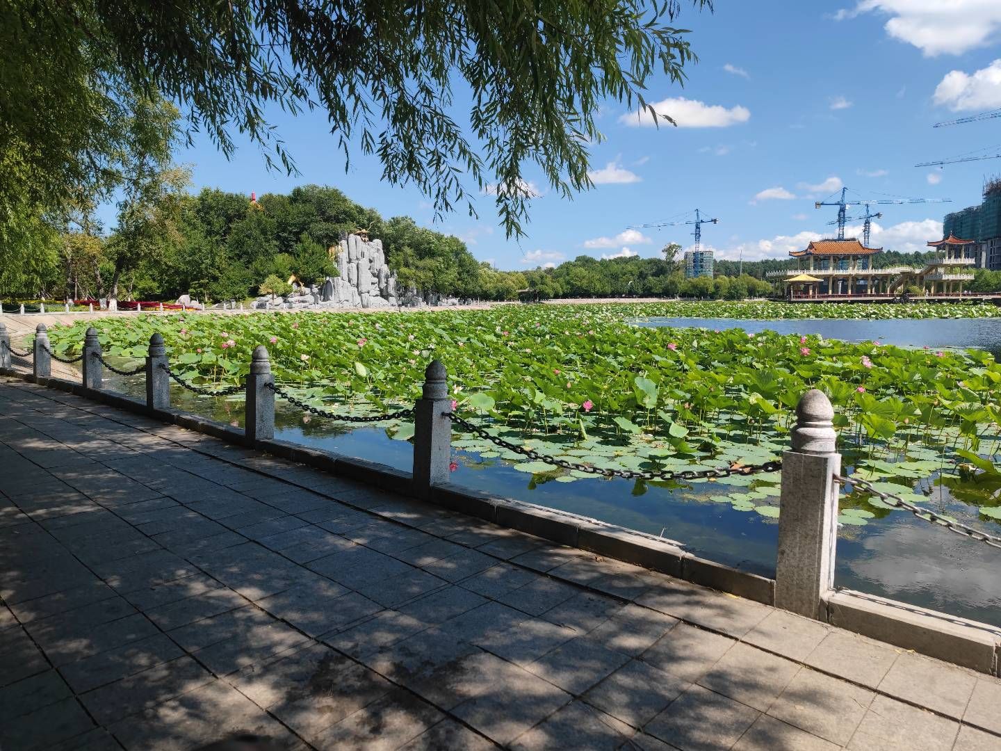 金山公园旅行图片 2