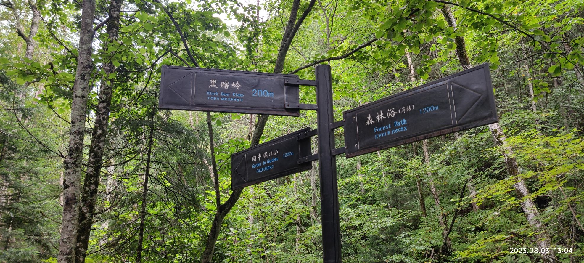 五营红松林海景区旅行图片 3
