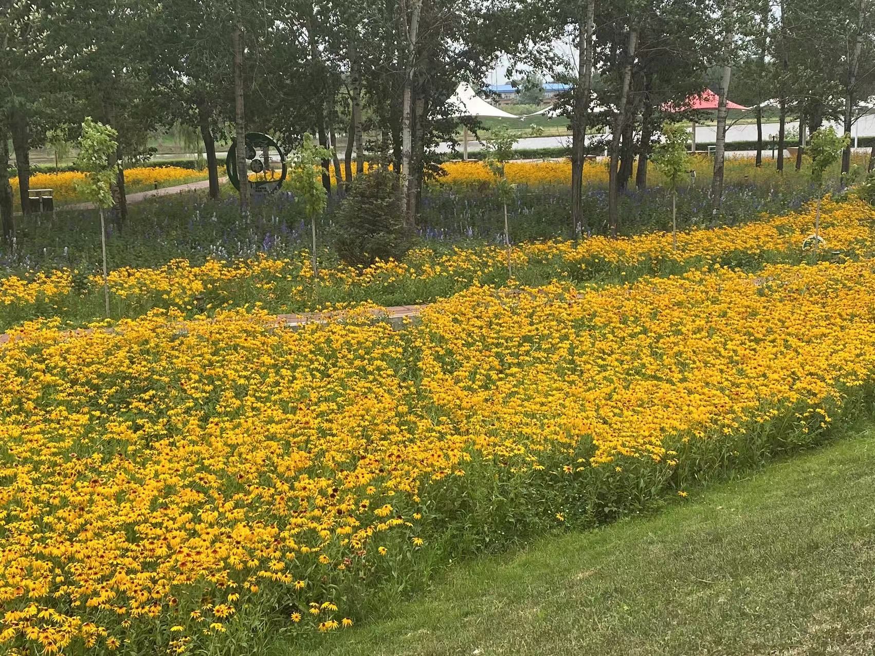 铁力公园旅行图片 2