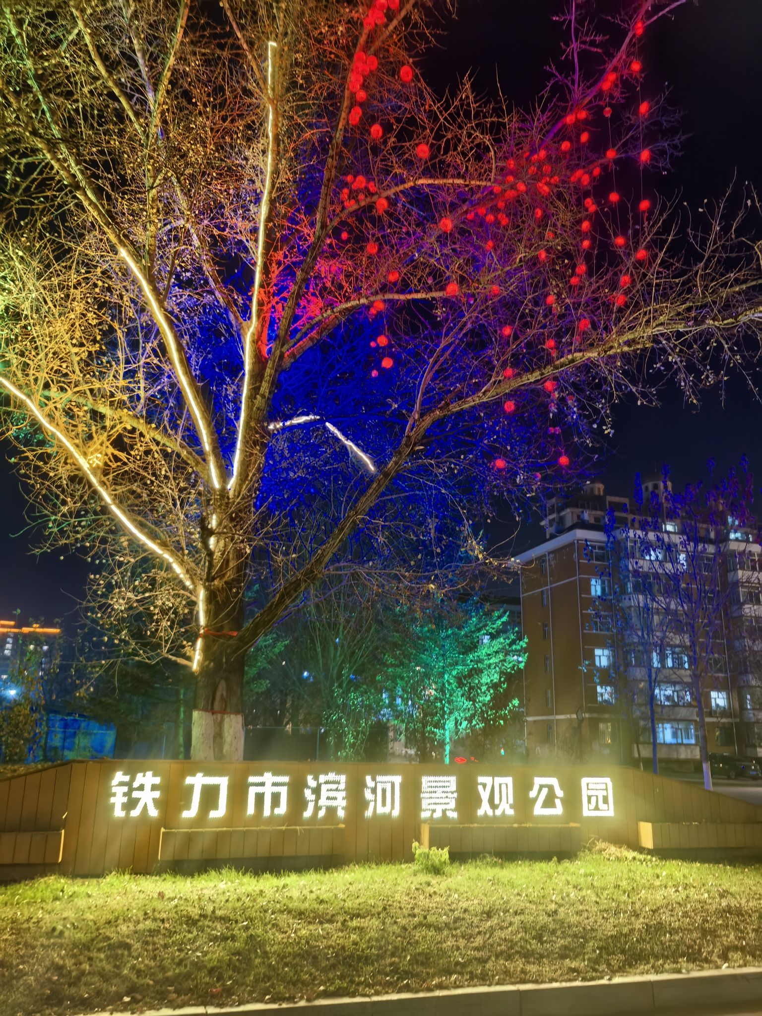 西河公园旅行图片 1