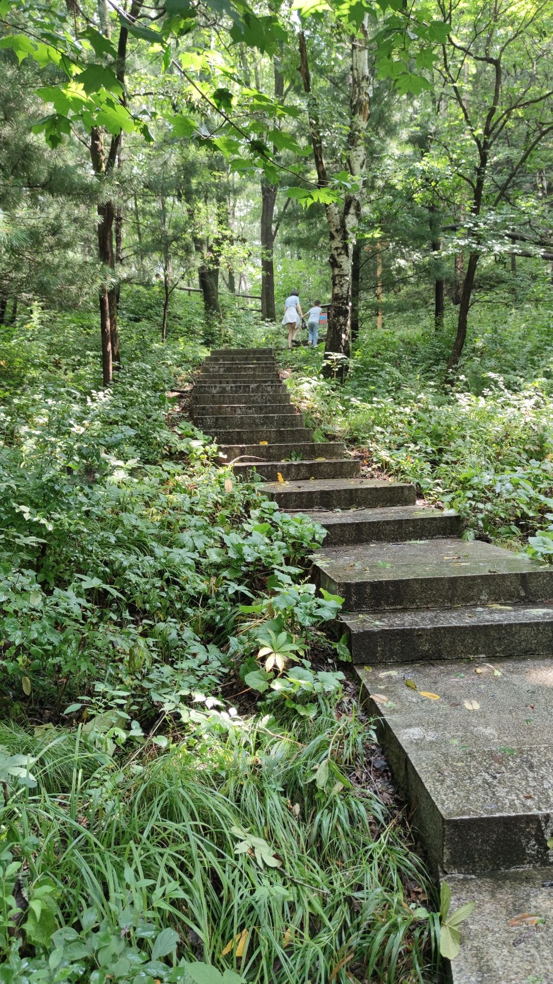 透龙山景区旅行图片 3