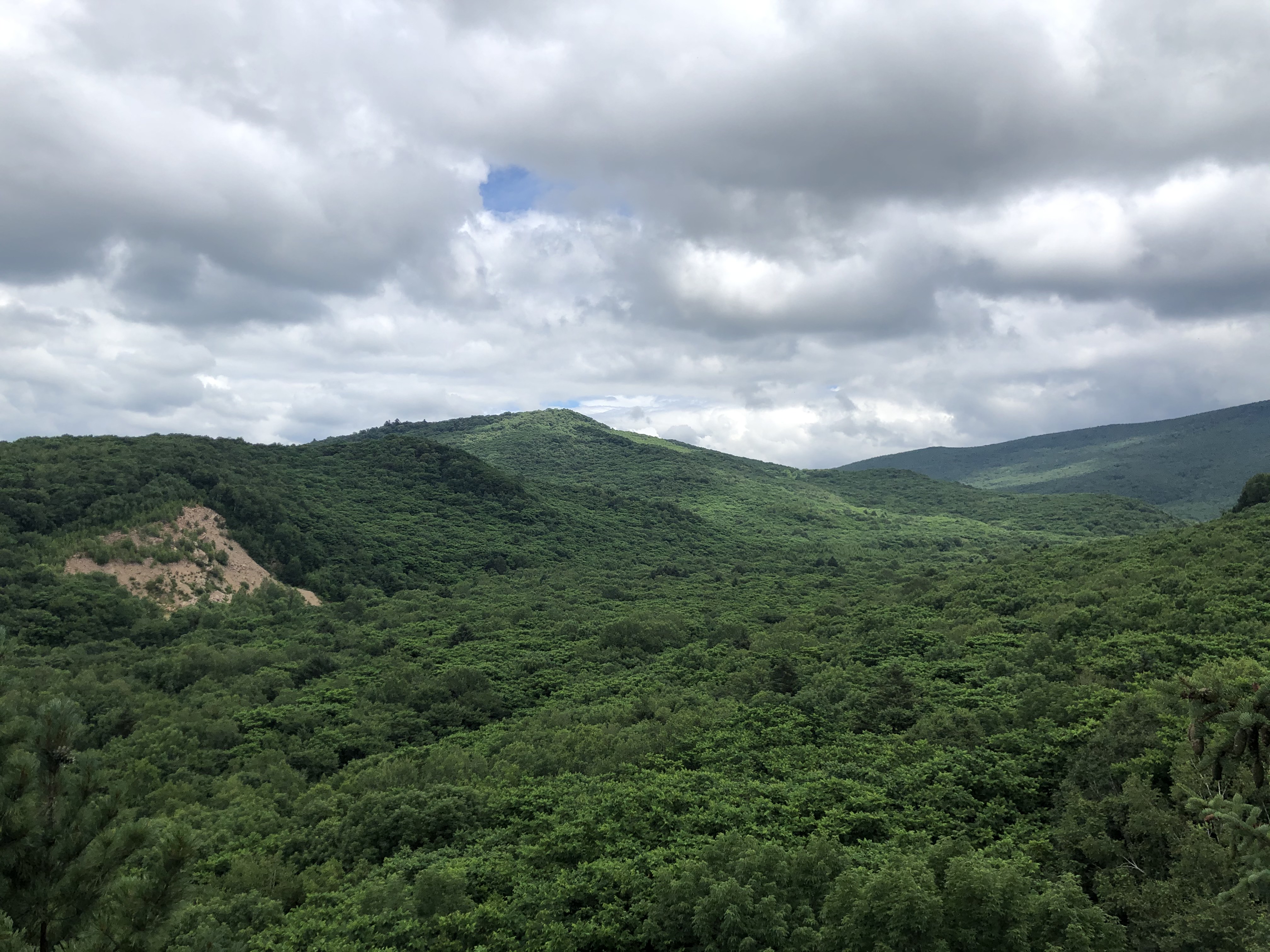 透龙山风景区