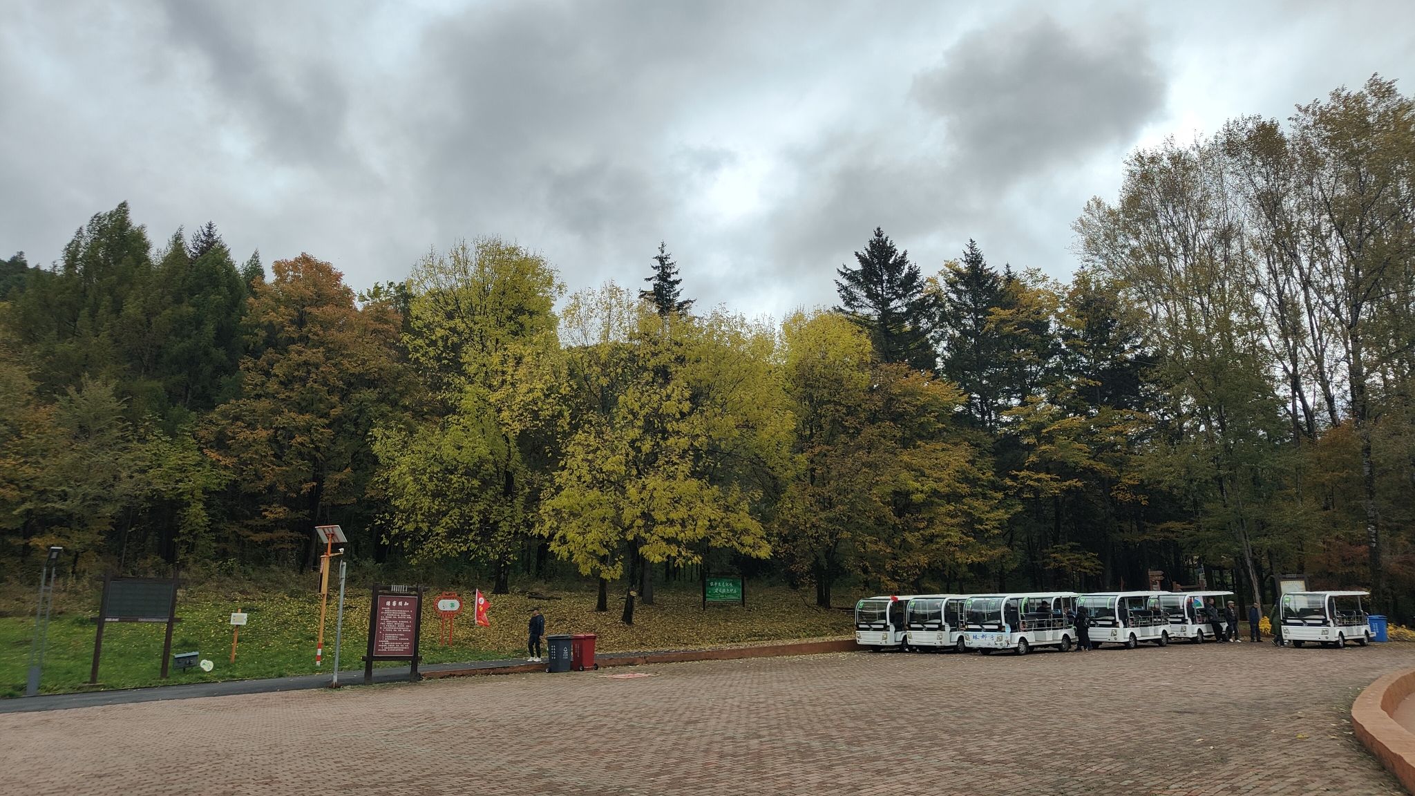 兴安国家森林公园(伊美区南山公园)旅行图片 2