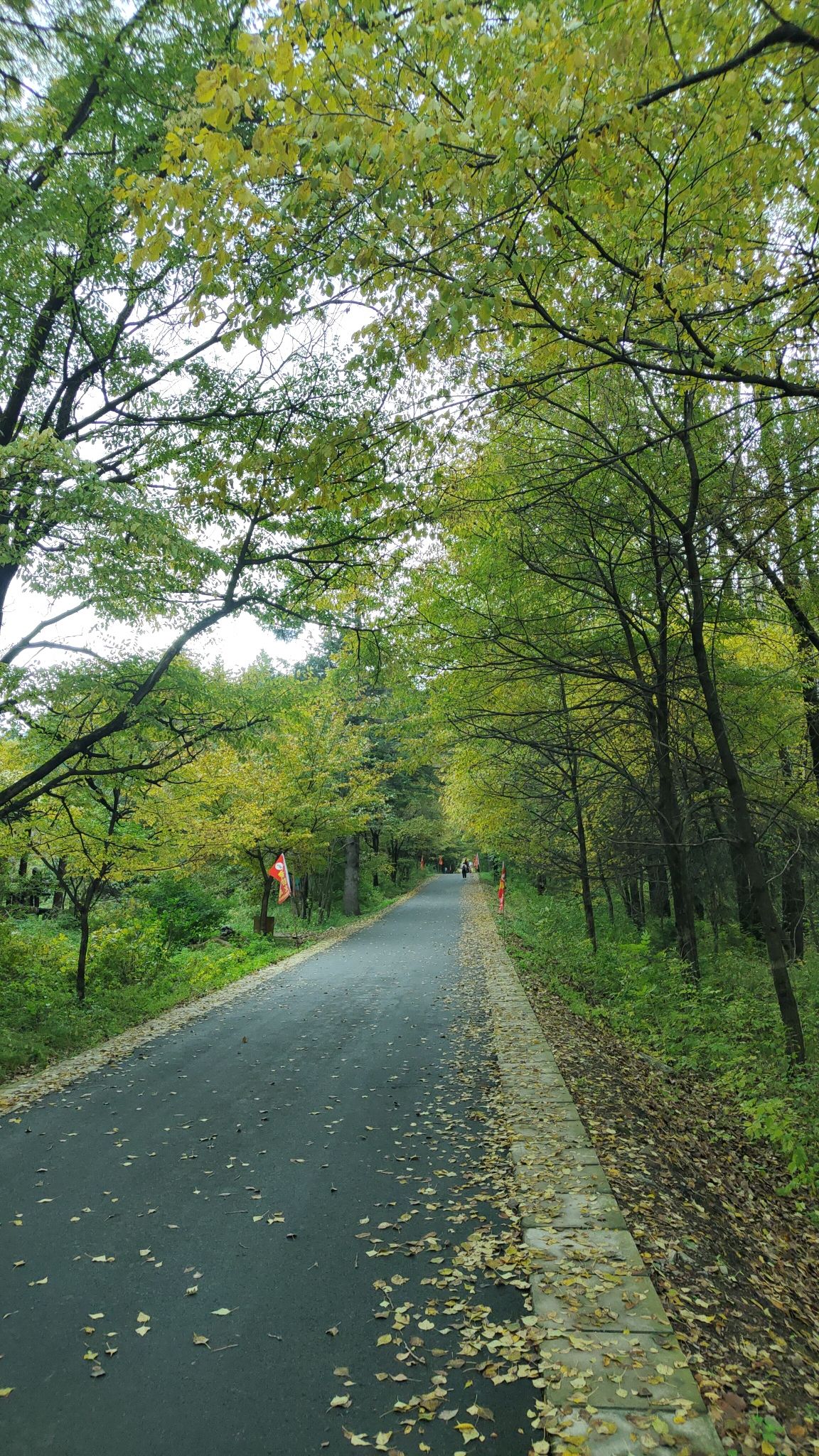 兴安国家森林公园(伊美区南山公园)旅行图片 3