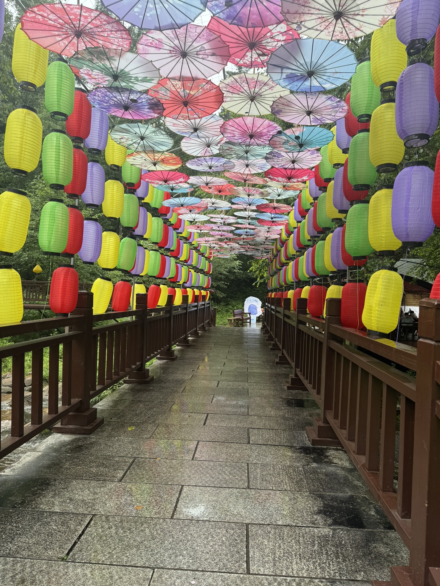 汤旺河林海奇石景区旅行图片 3