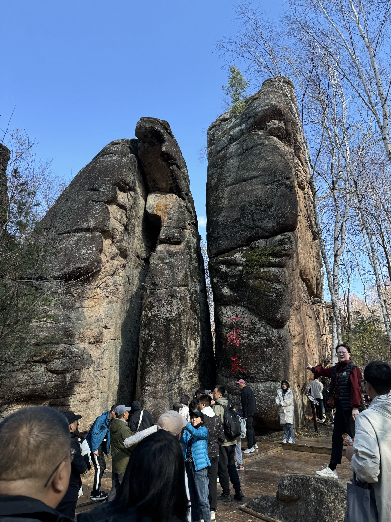 汤旺河林海奇石景区旅行图片 2