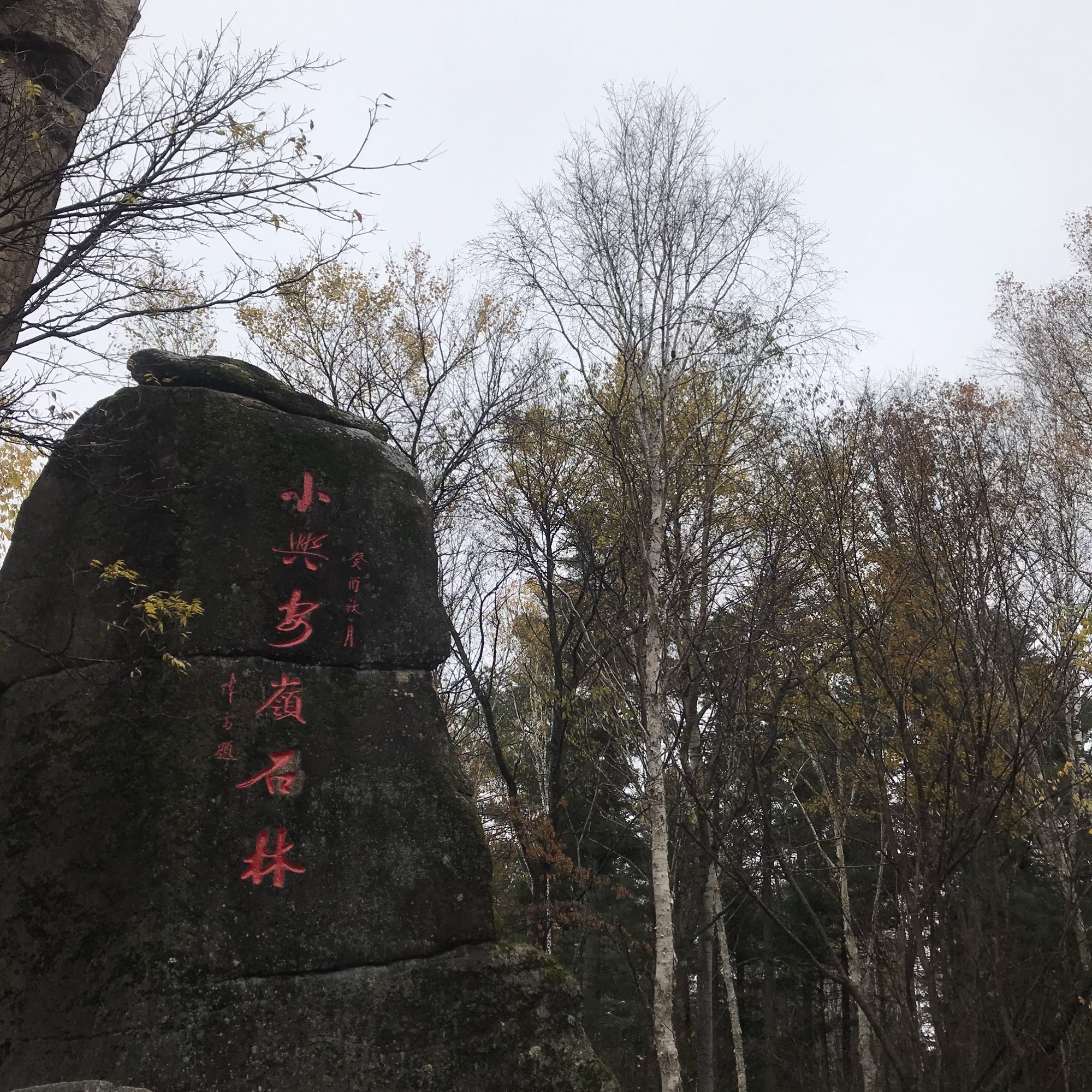 汤旺河林海奇石景区旅行图片 1