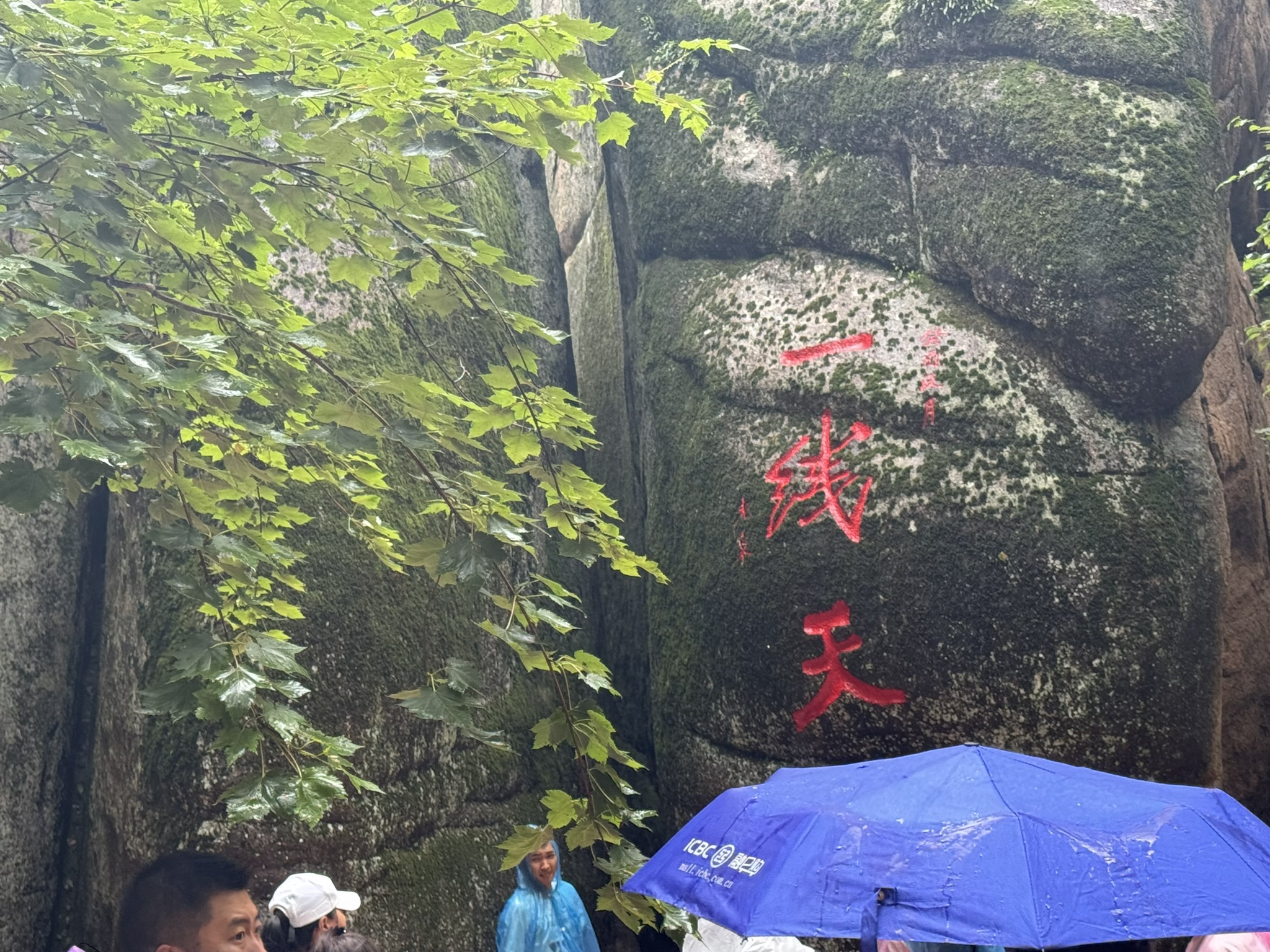 汤旺河林海奇石景区旅行图片 1