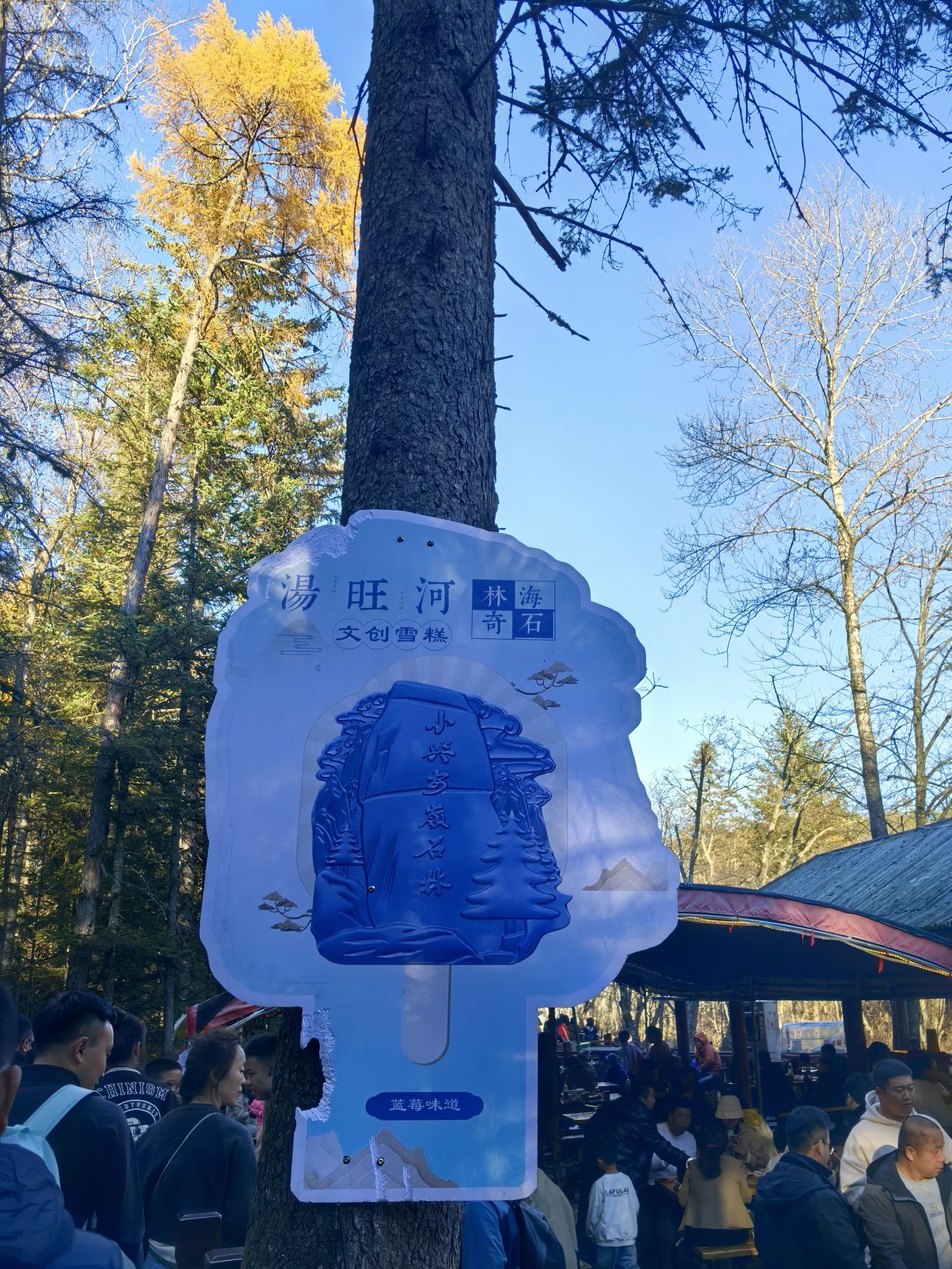 汤旺河林海奇石景区旅行图片 3