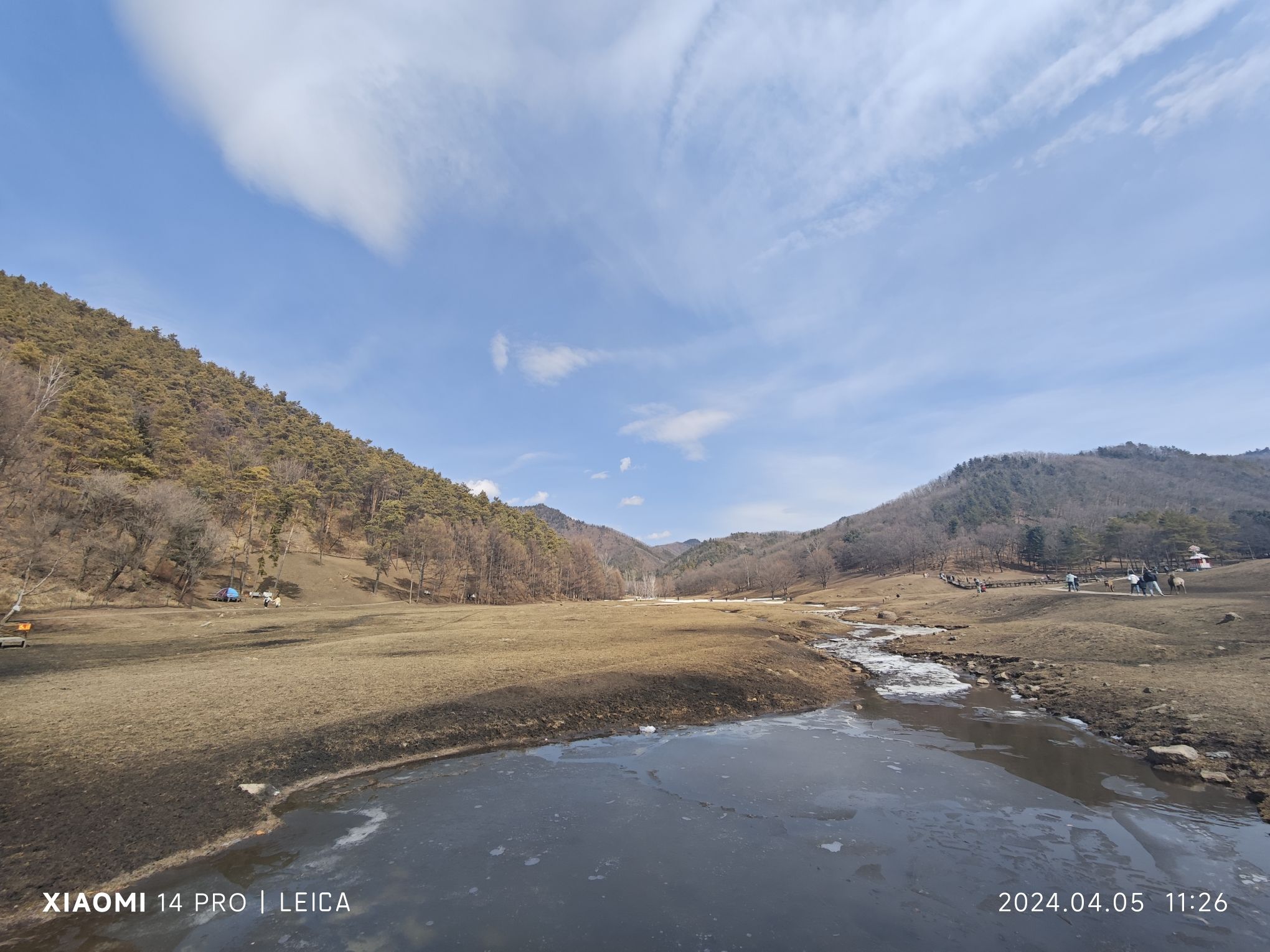 飞泷金山鹿苑旅行图片 2