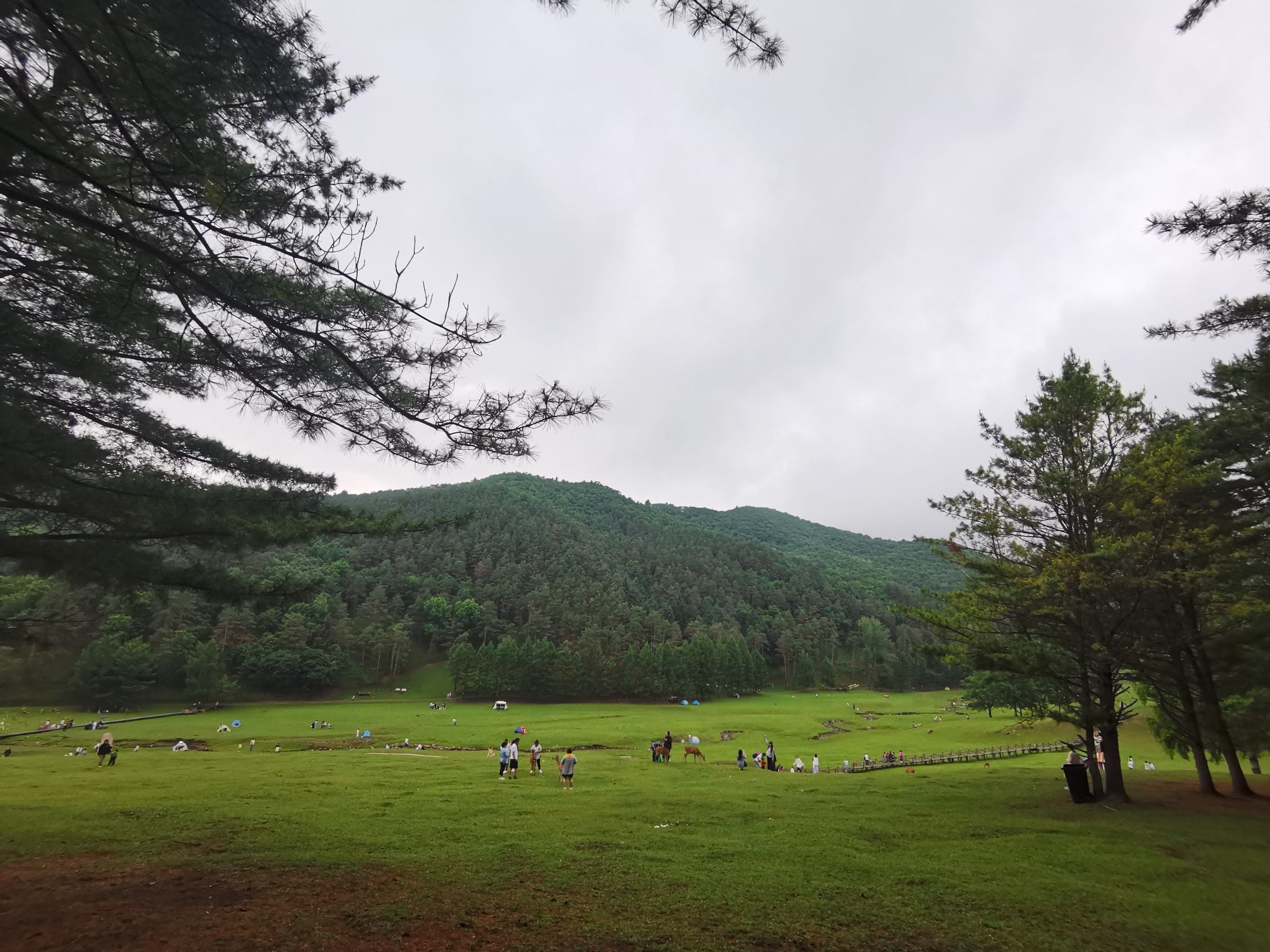 飞泷金山鹿苑旅行图片 3