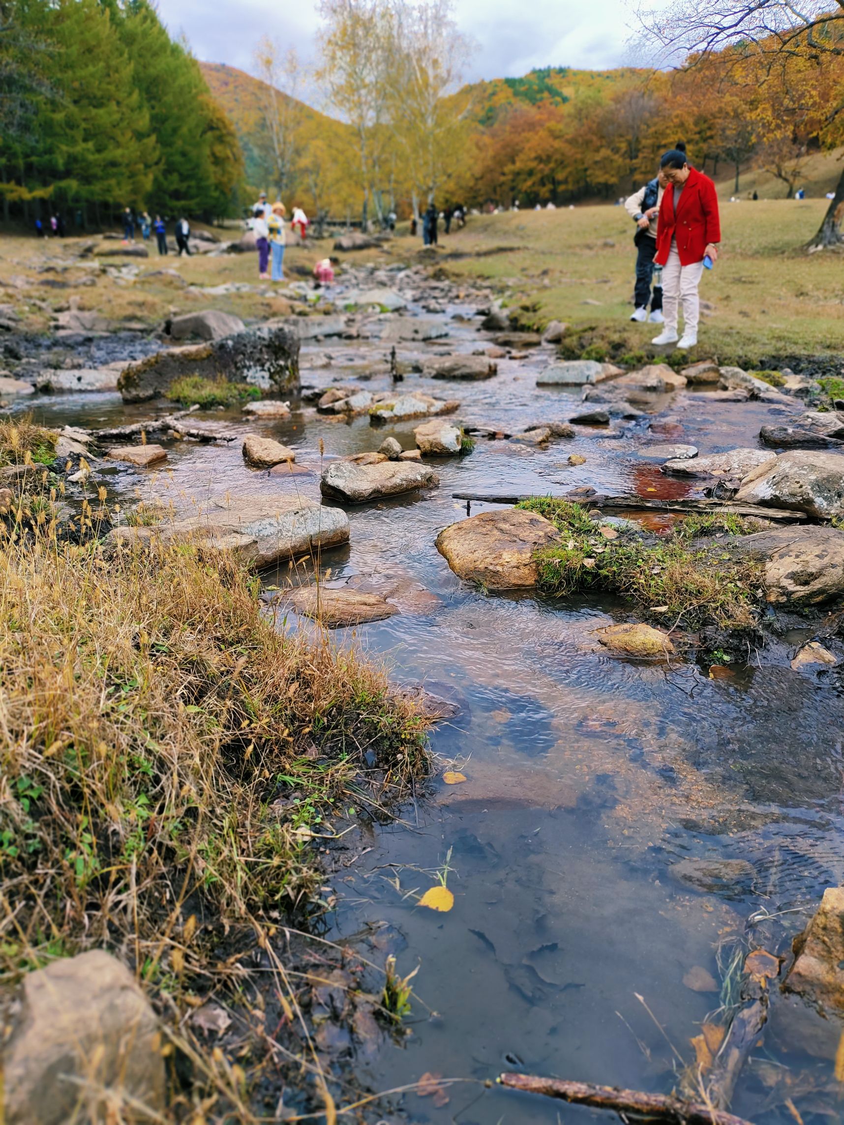飞泷金山鹿苑旅行图片 2