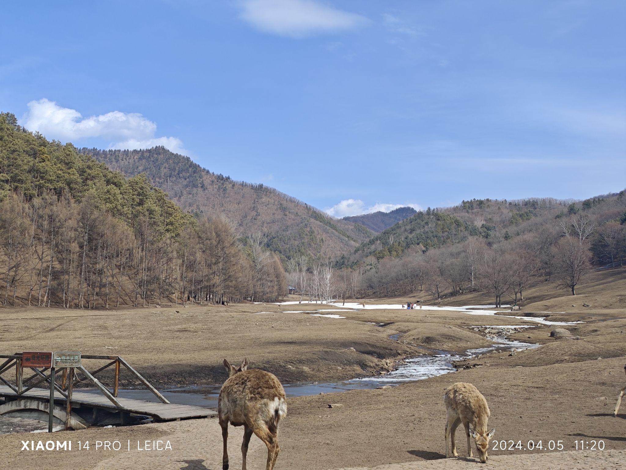 飞泷金山鹿苑旅行图片 3