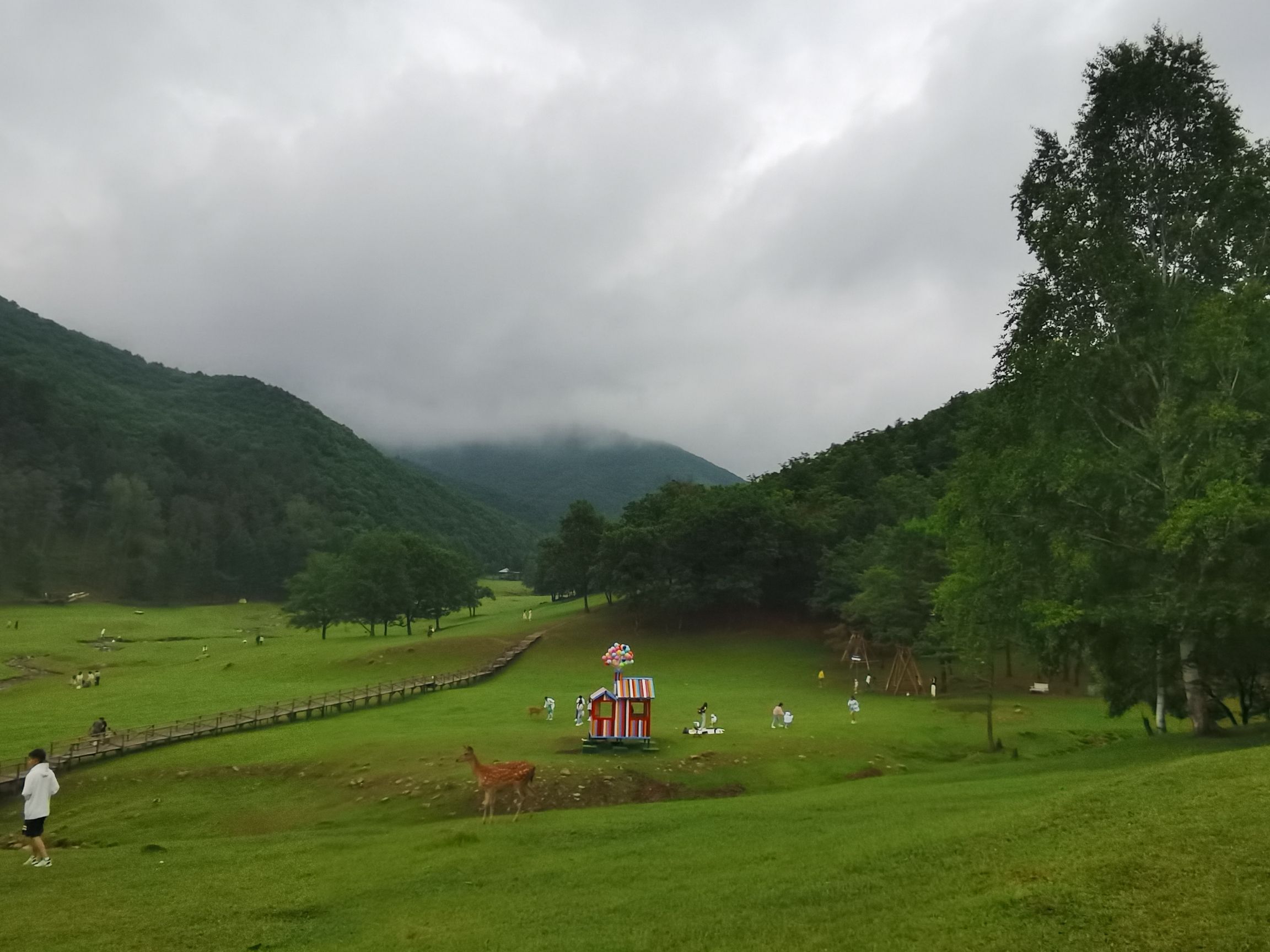 飞泷金山鹿苑旅行图片 2