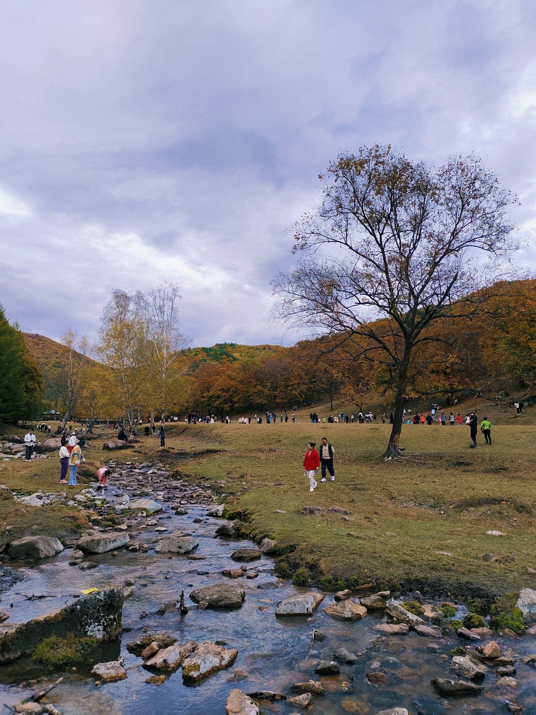 飞泷金山鹿苑旅行图片 3