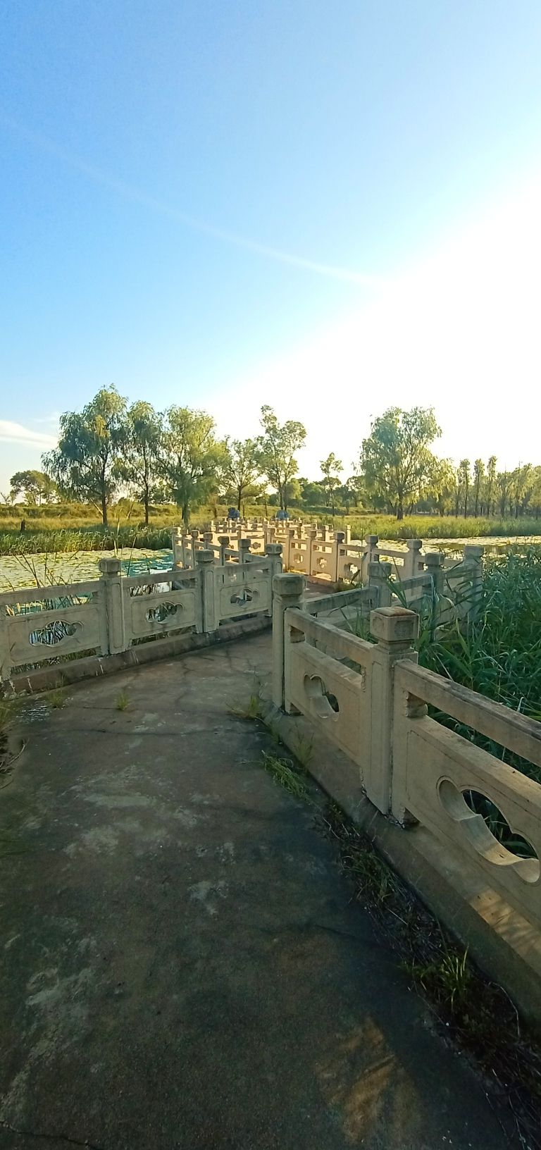 南湖公园旅行图片 2