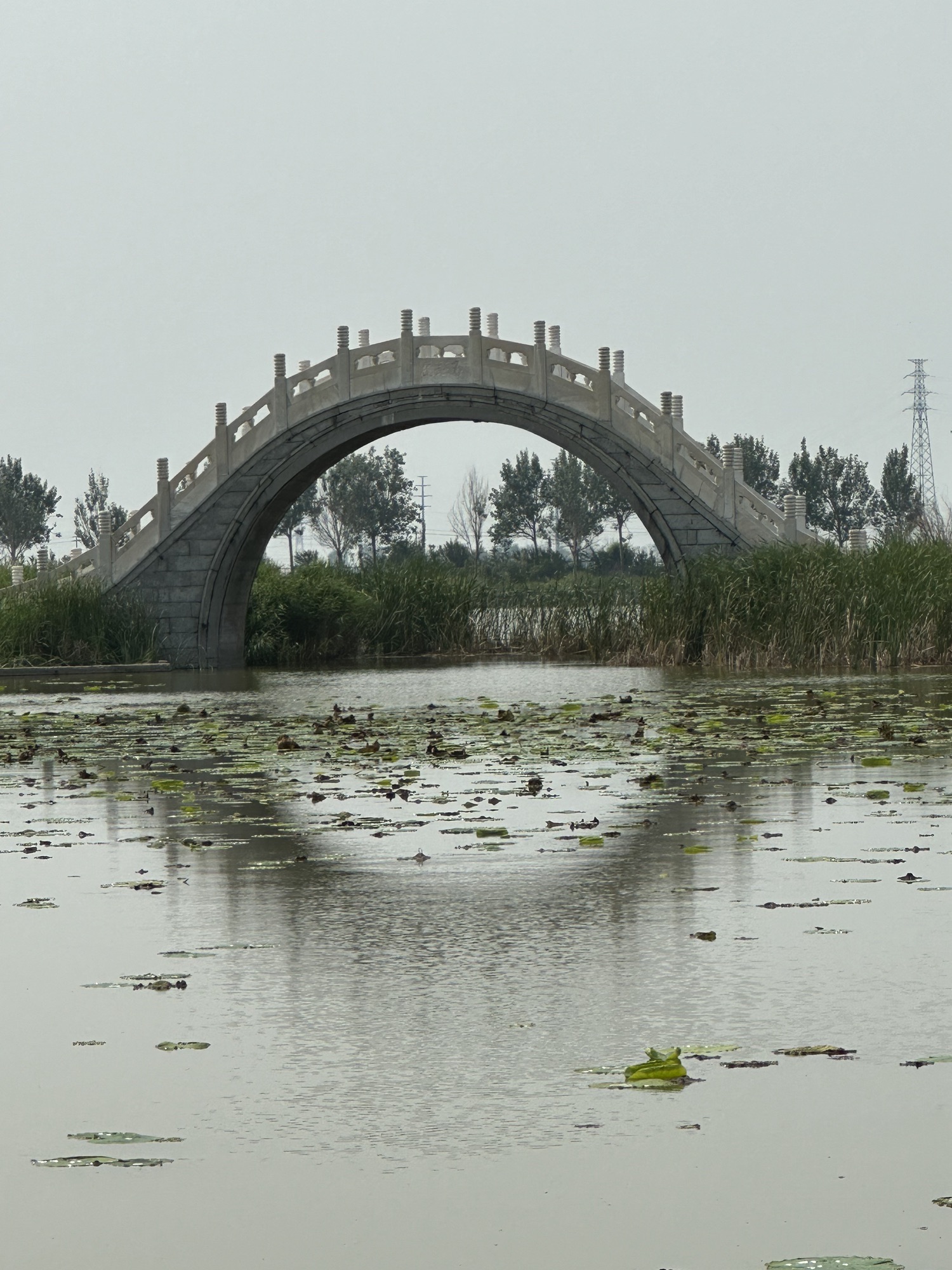 龙凤公园旅行图片 3