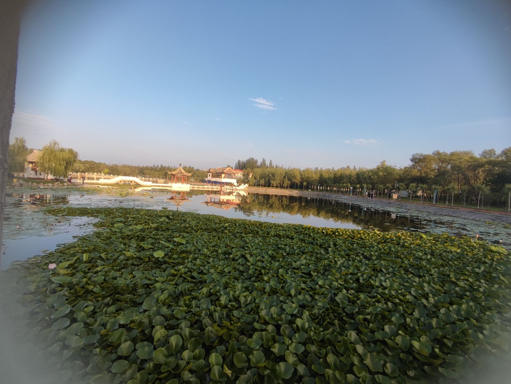 喇嘛甸公园旅行图片 2