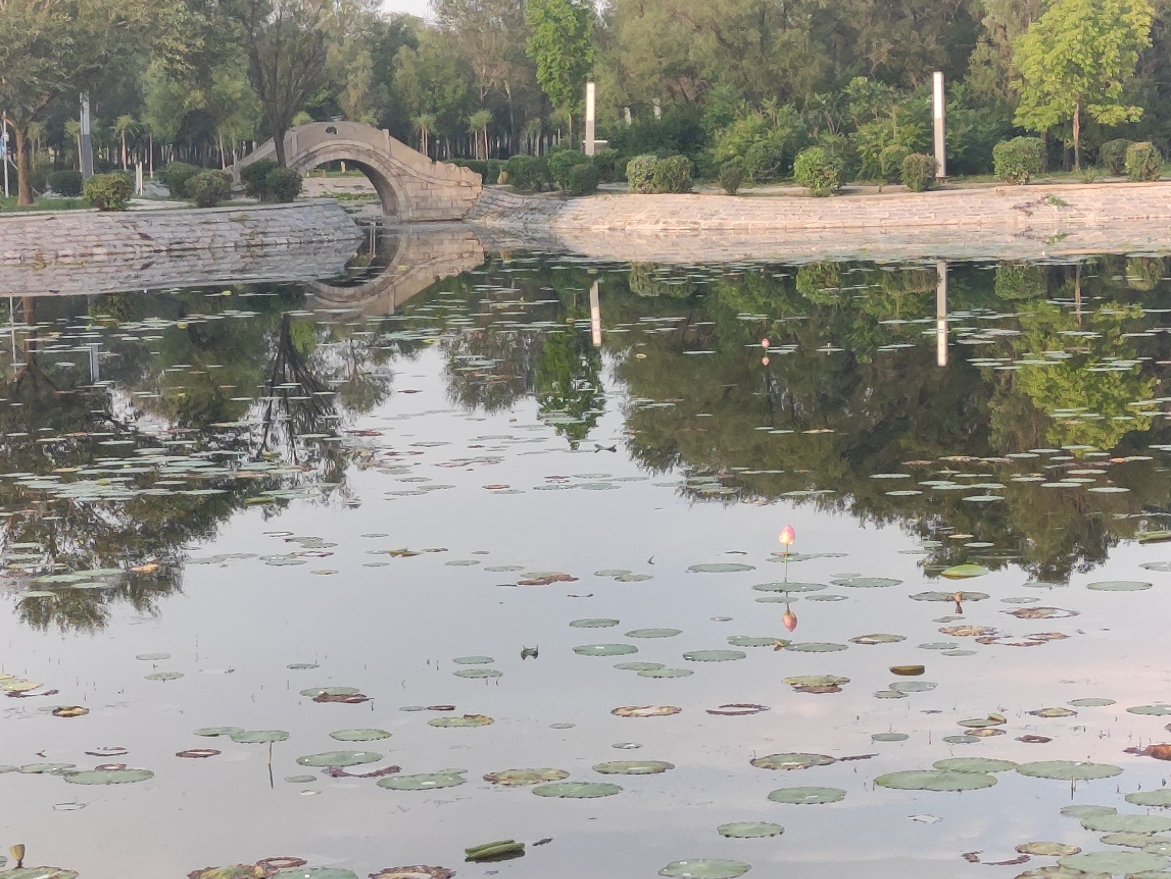 喇嘛甸公园旅行图片 1