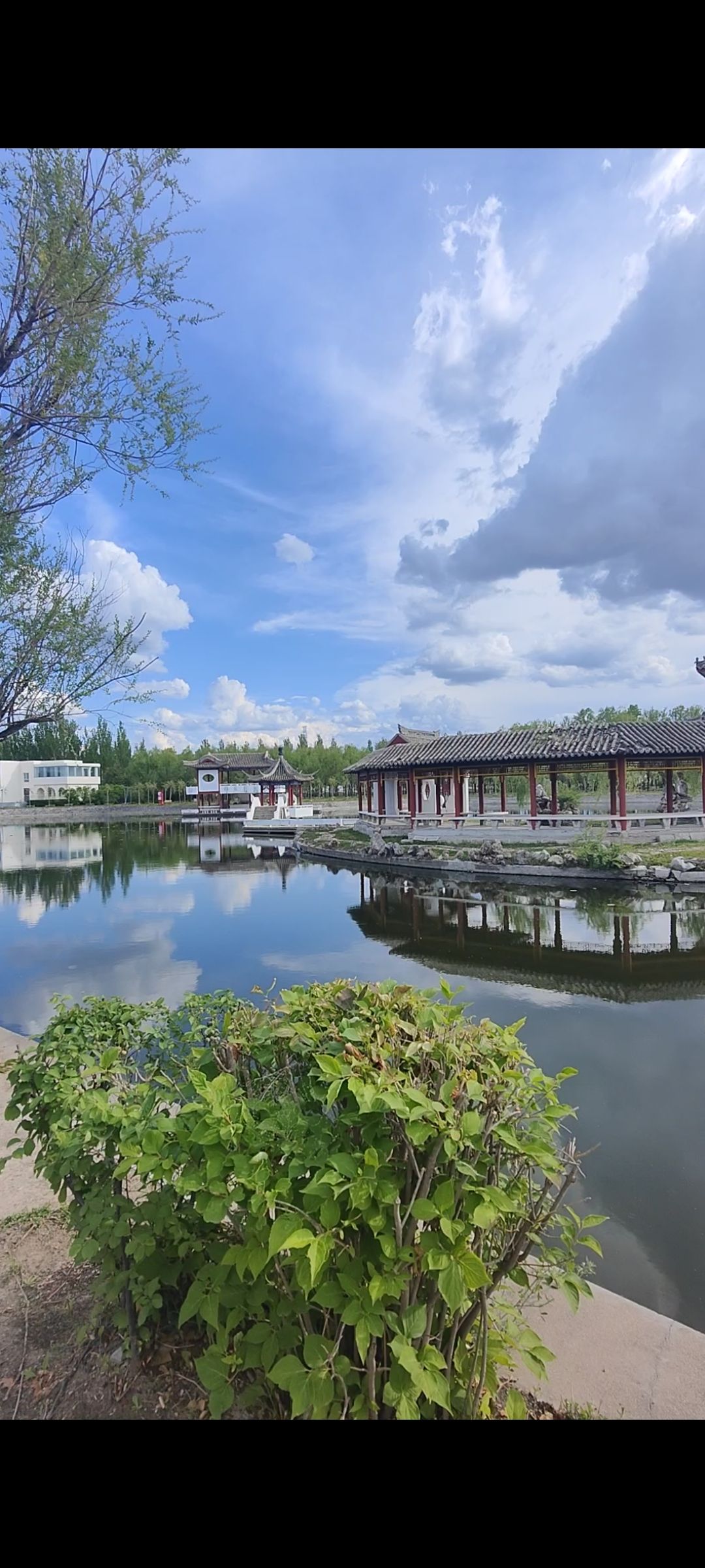 喇嘛甸公园旅行图片 3
